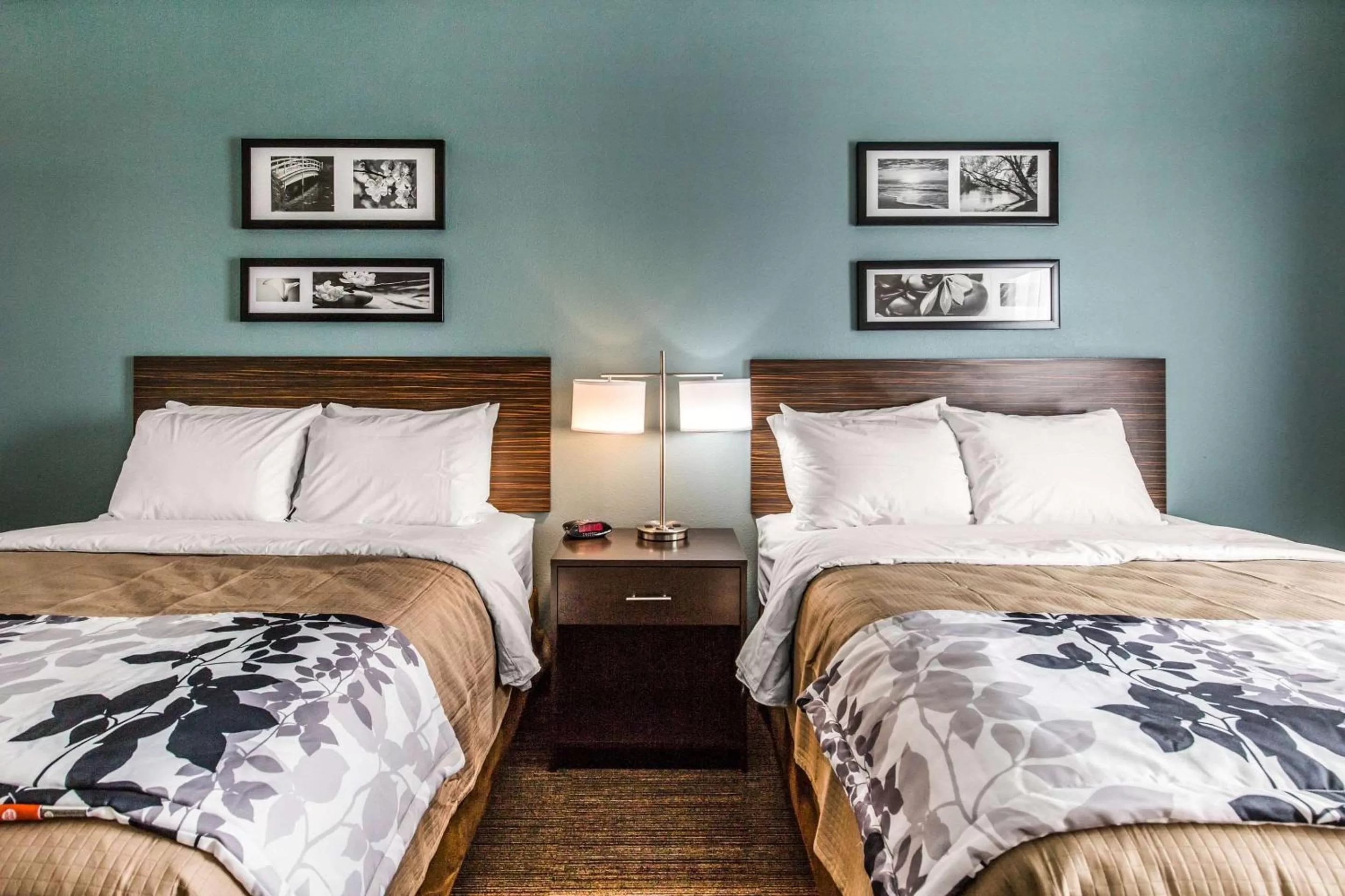 Photo of the whole room, Bed in Sleep Inn & Suites Bryan - College Station