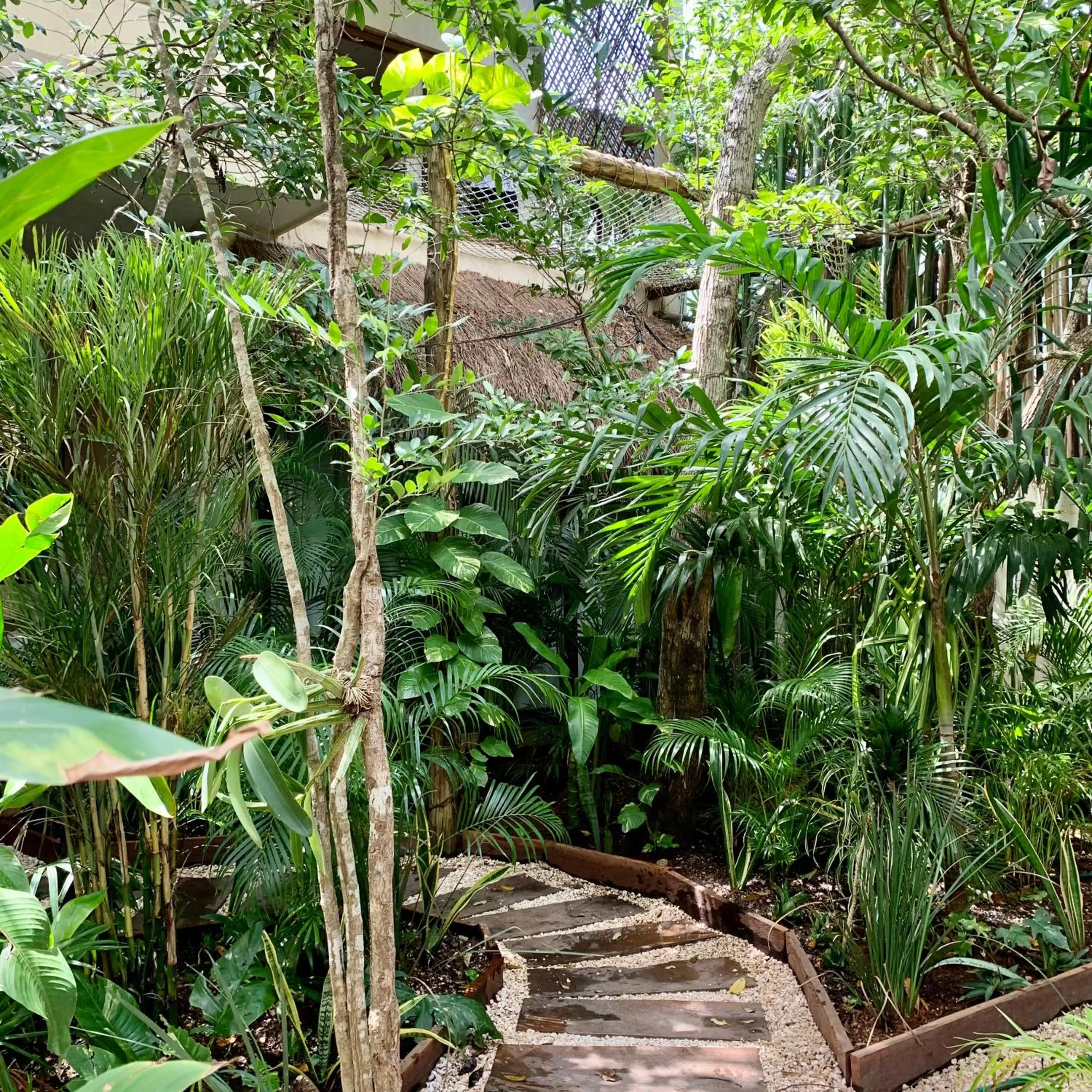 Garden in Orchid House Tulum Jungle