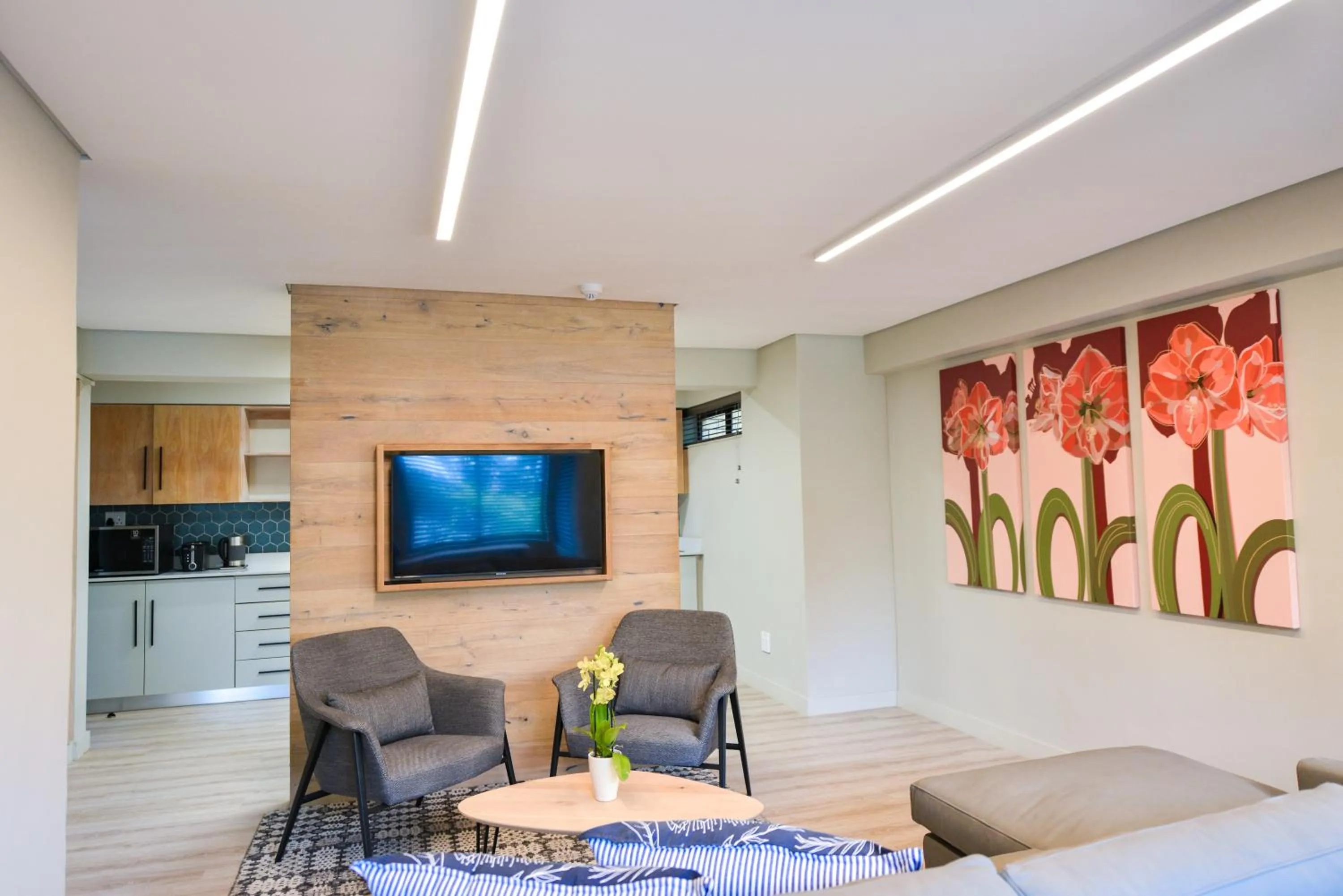 Communal lounge/ TV room in All Africa House (University Of Cape Town)