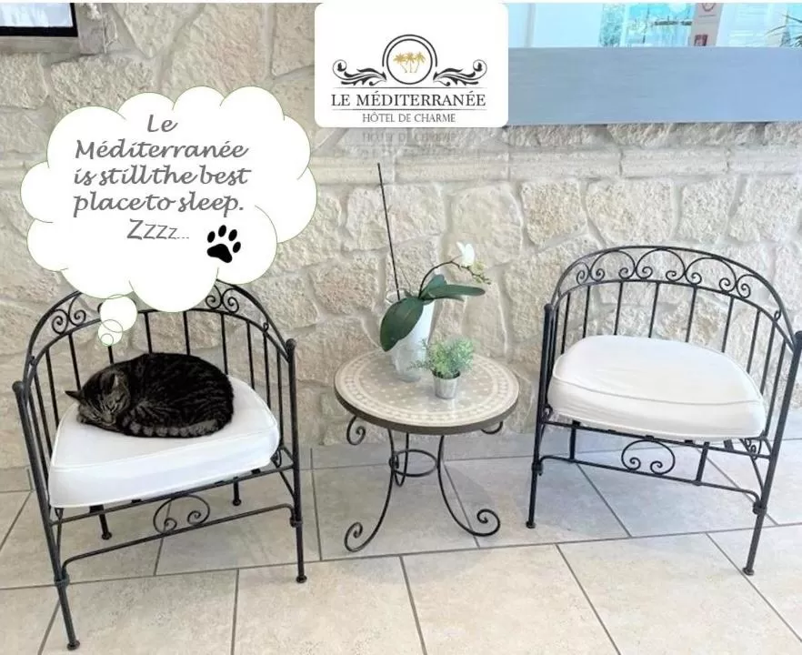 Lobby or reception in Hôtel Le Méditerranée