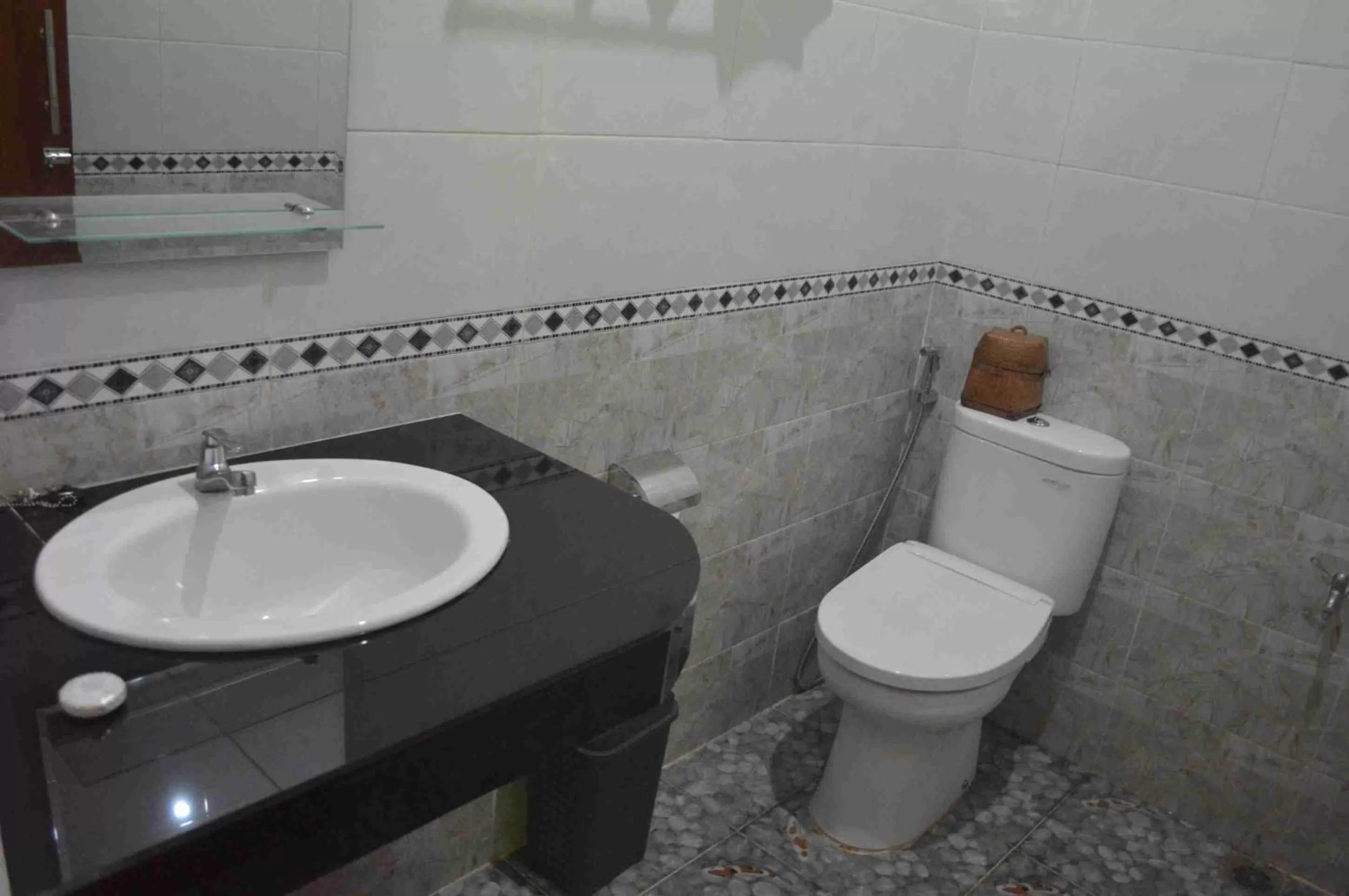 Toilet in Nick's Pension