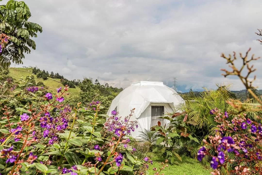 Garden in Ecohotel Monte Tierra Habitaciones y Glamping
