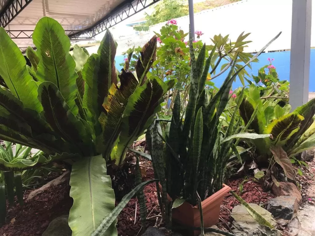 Coffs Shearwater Motel