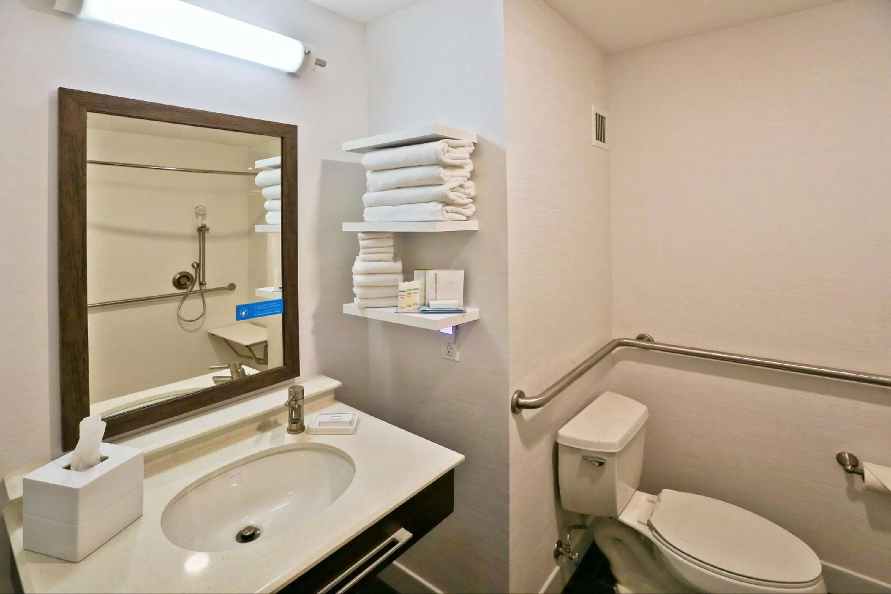 Bathroom in Hampton Inn Billings