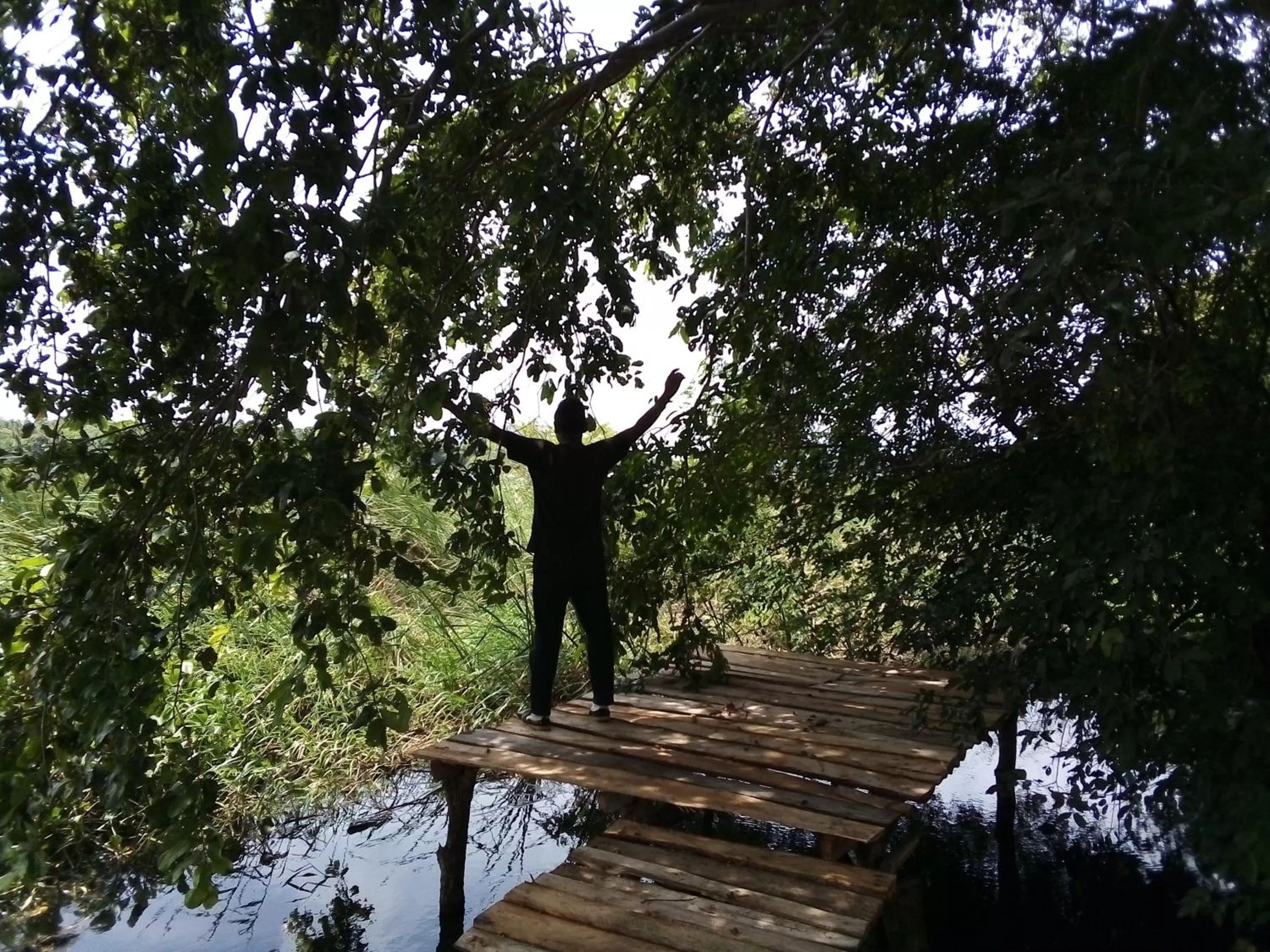 Natural landscape in Lake Bliss