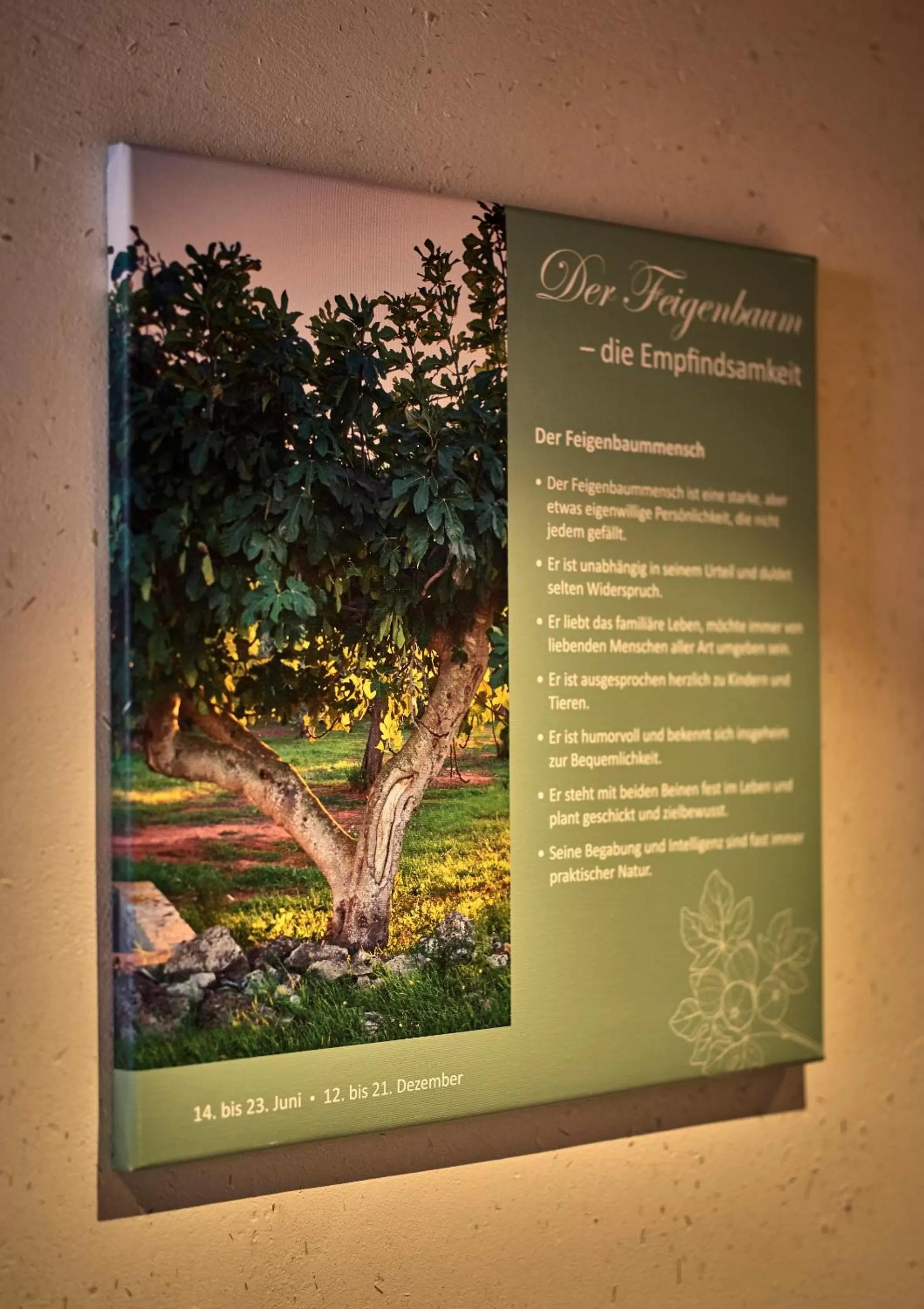 Other in Zedernhof Gesundheits- & Wellnesshotel