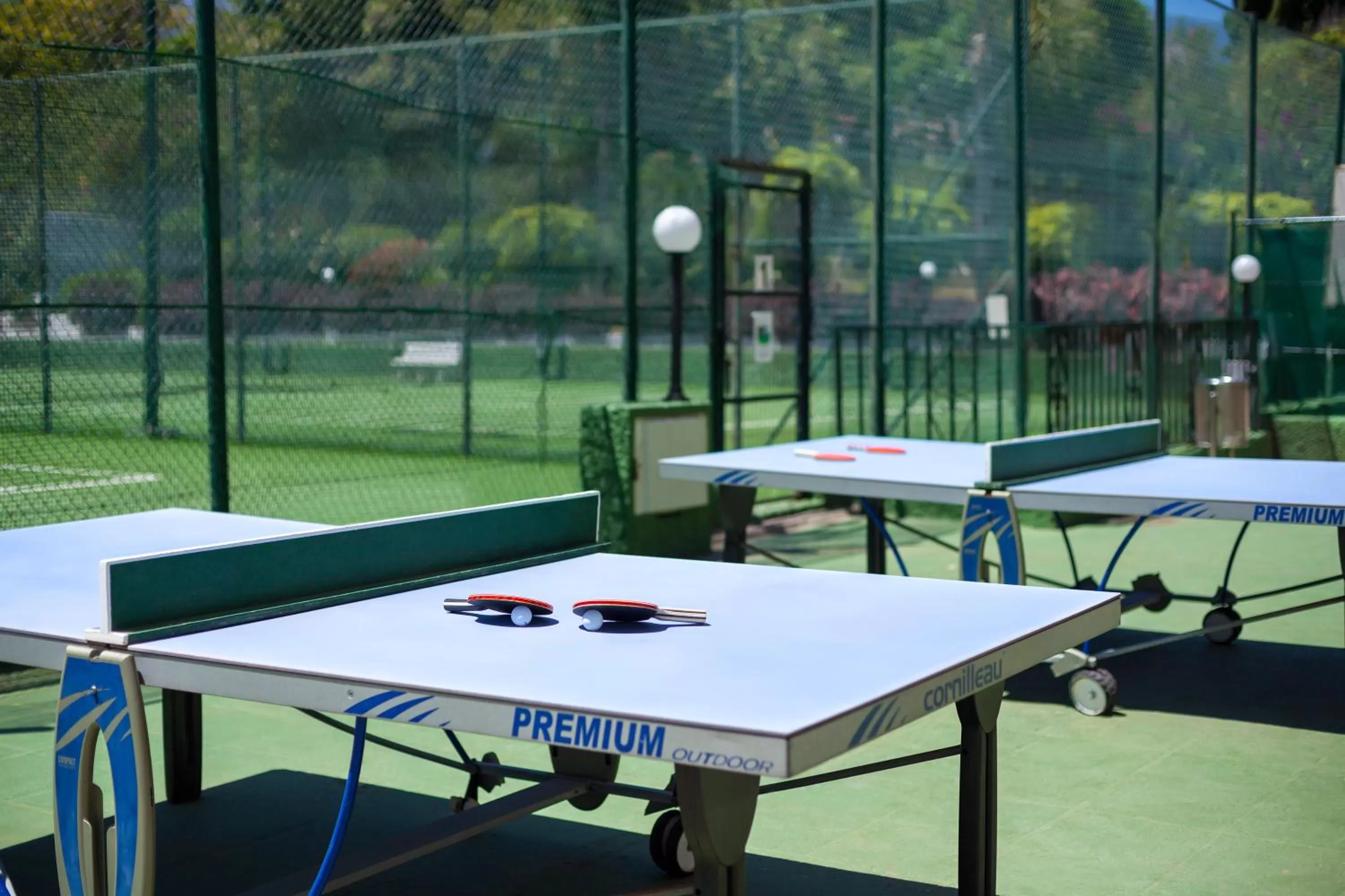 Table tennis in Apartamentos Masaru
