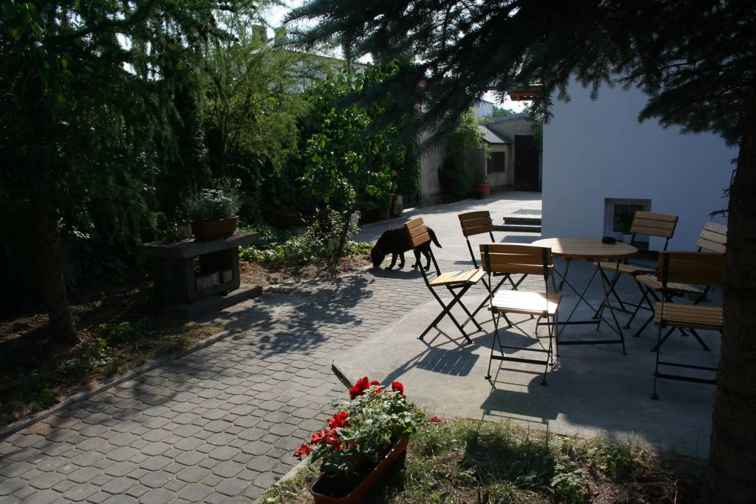 Patio in Villa MB