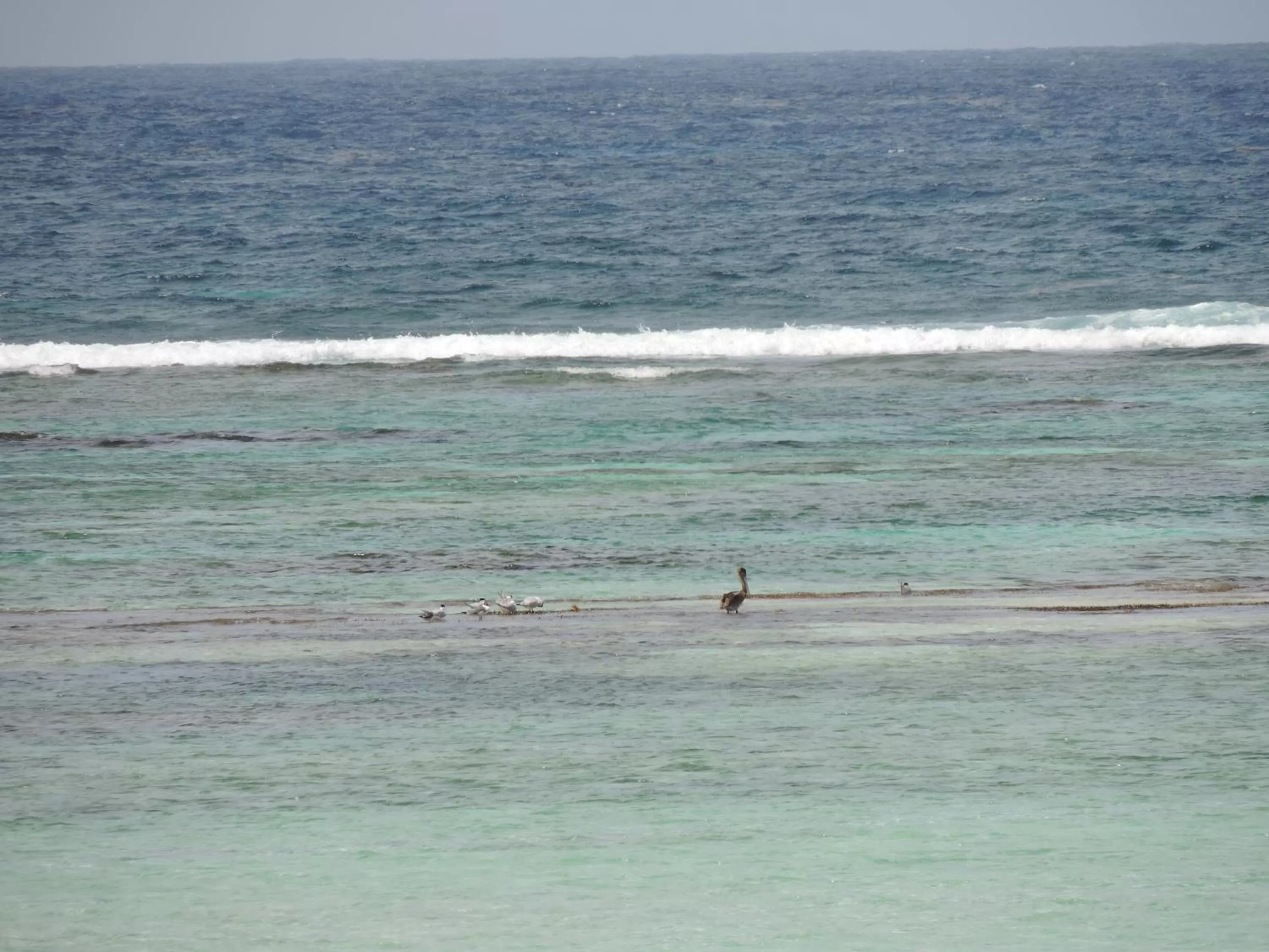 Sea view in Hotel Les Ondines Sur La Plage