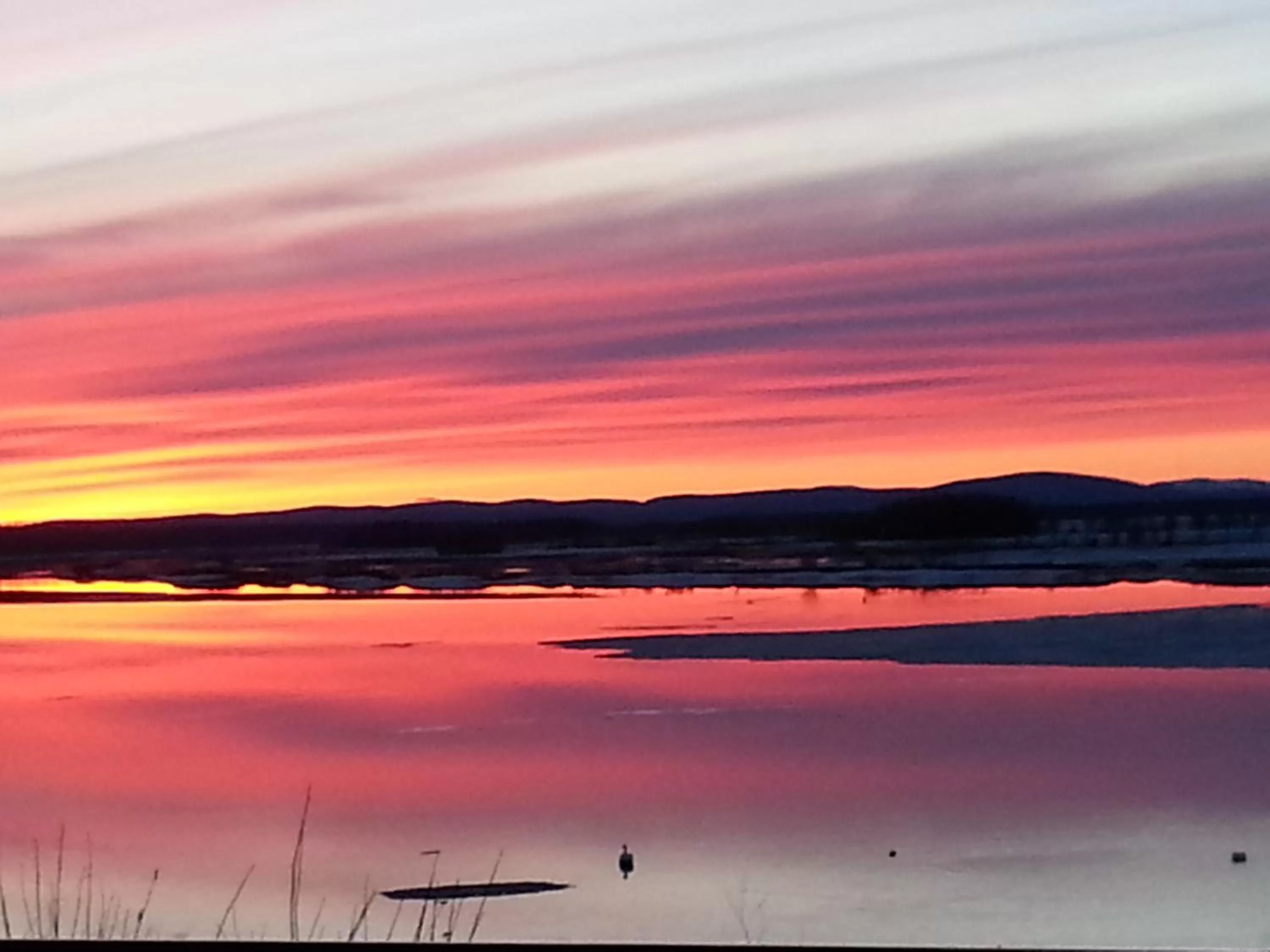 Area and facilities in Hotel Kemijärvi