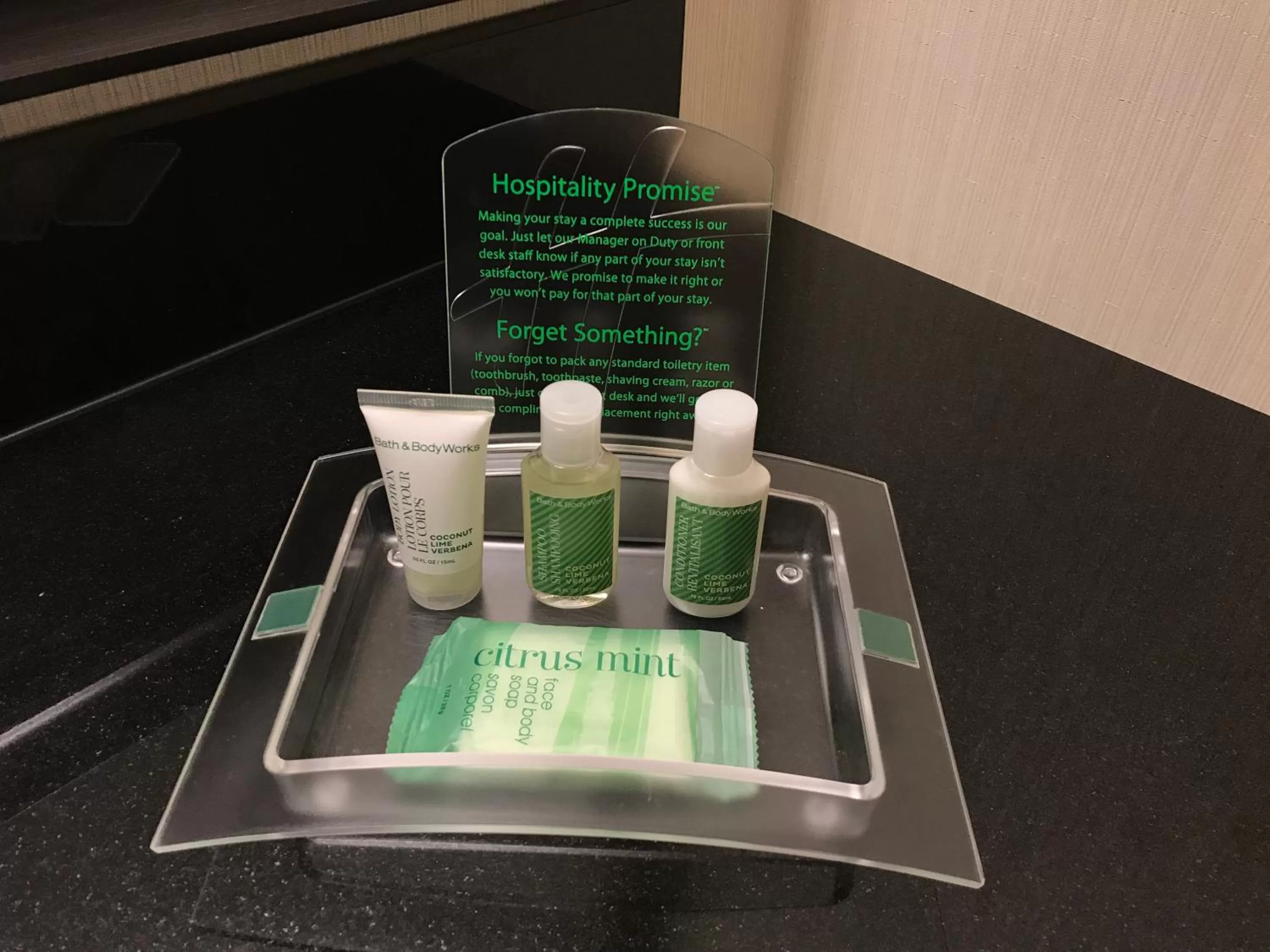 One-Bedroom King Suite in Holiday Inn & Suites Winnipeg Downtown by IHG