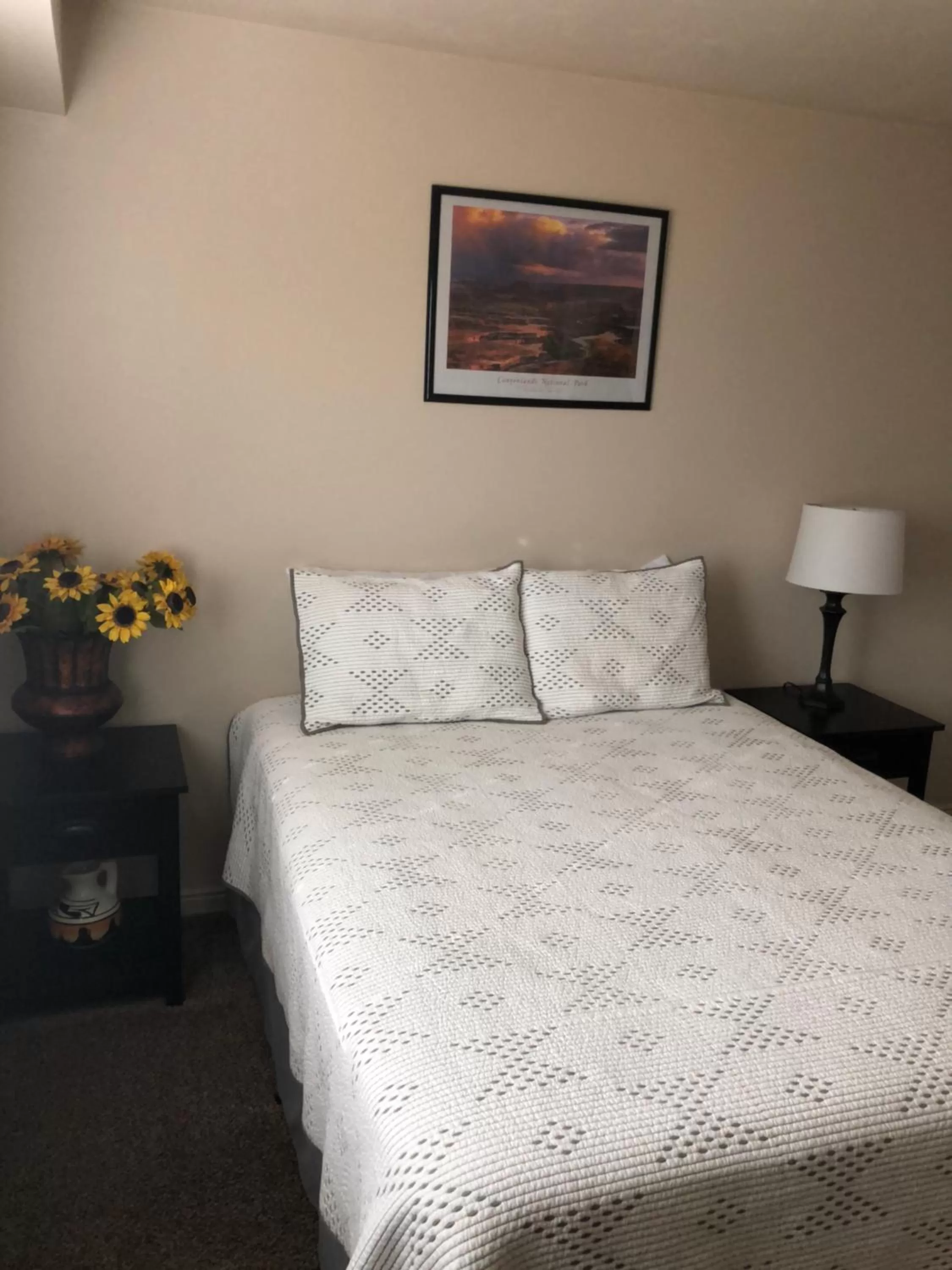 Bed in Cedar Canyon Condos