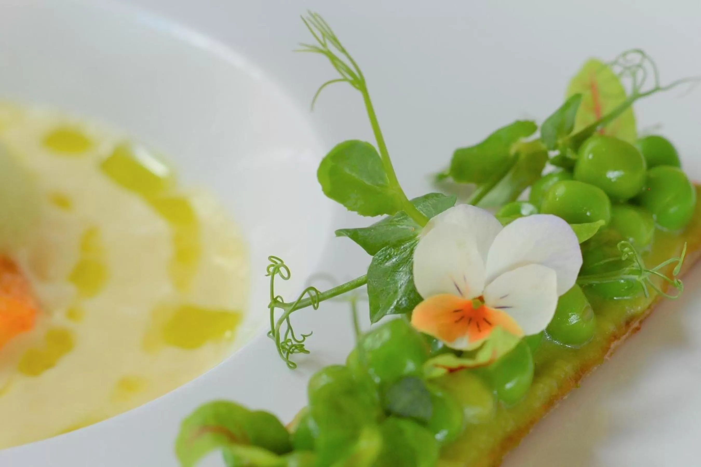 Food close-up in Ringhotel Alpenhof - Patchworkhotel