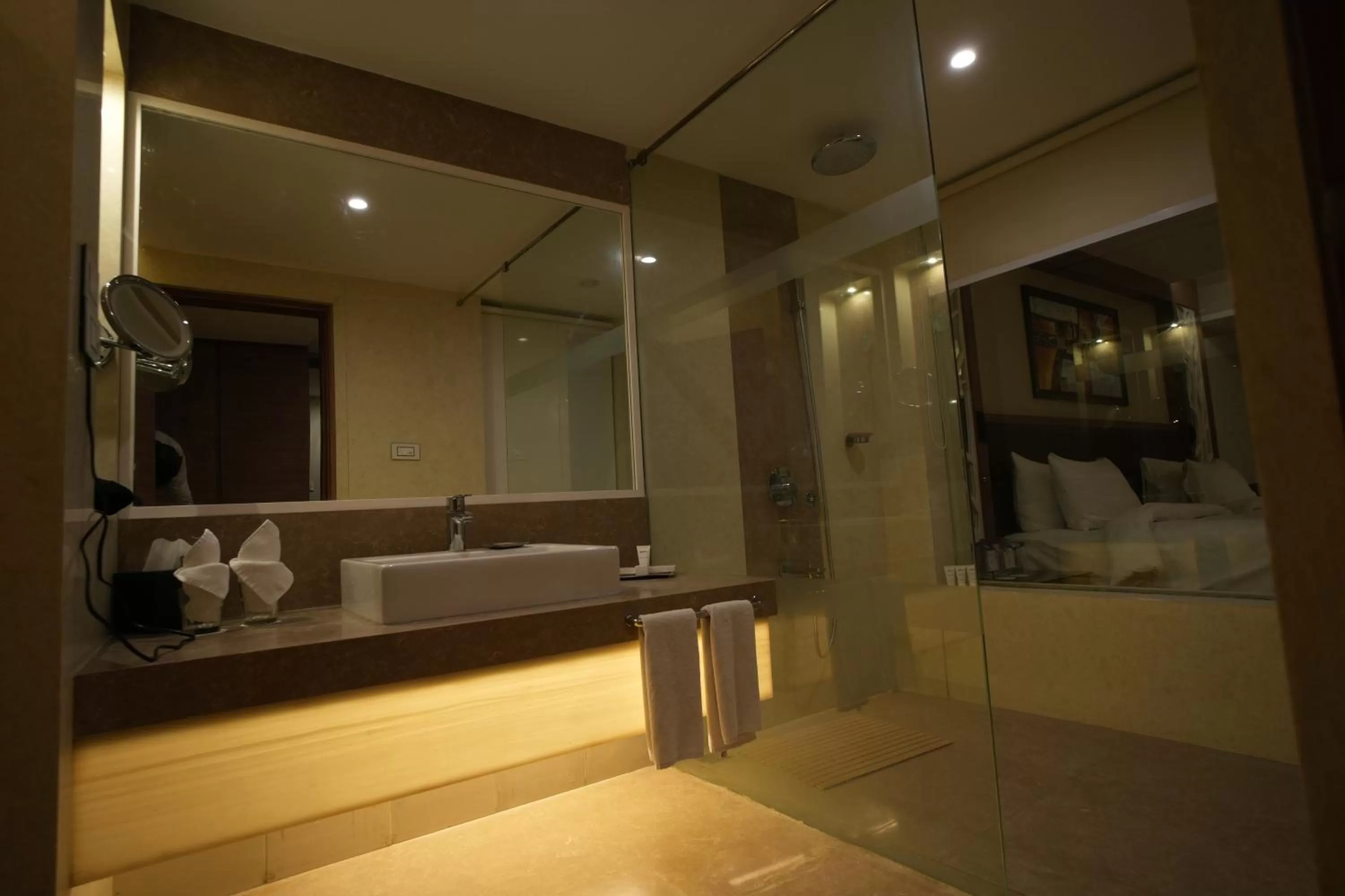 Bathroom in Radisson Udaipur