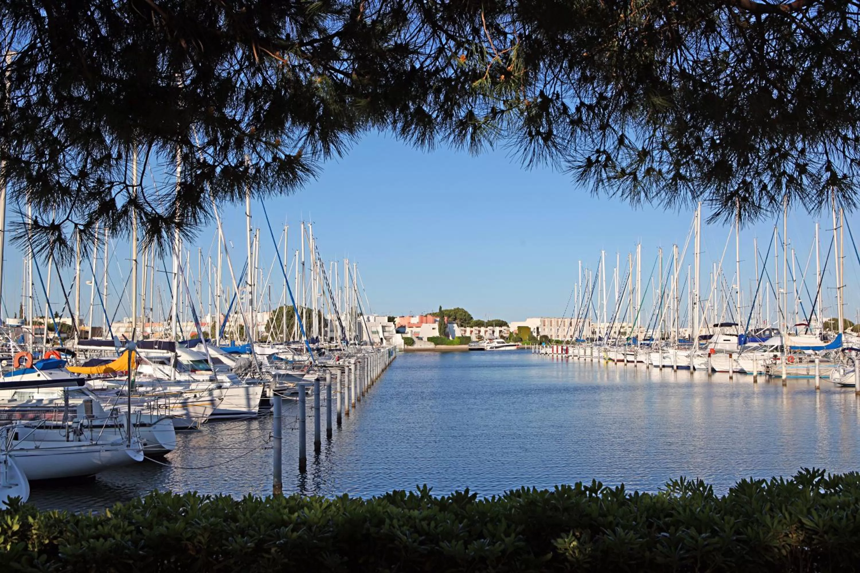 Staff in Le Spinaker