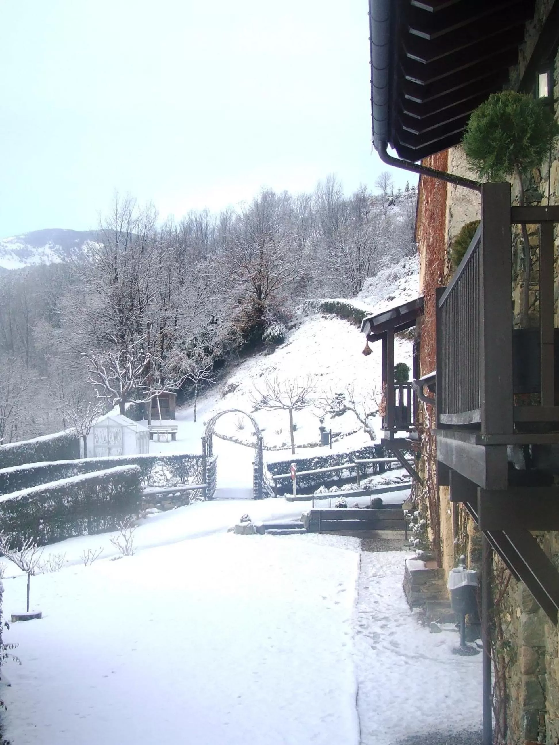 Garden in Hotel Cruells