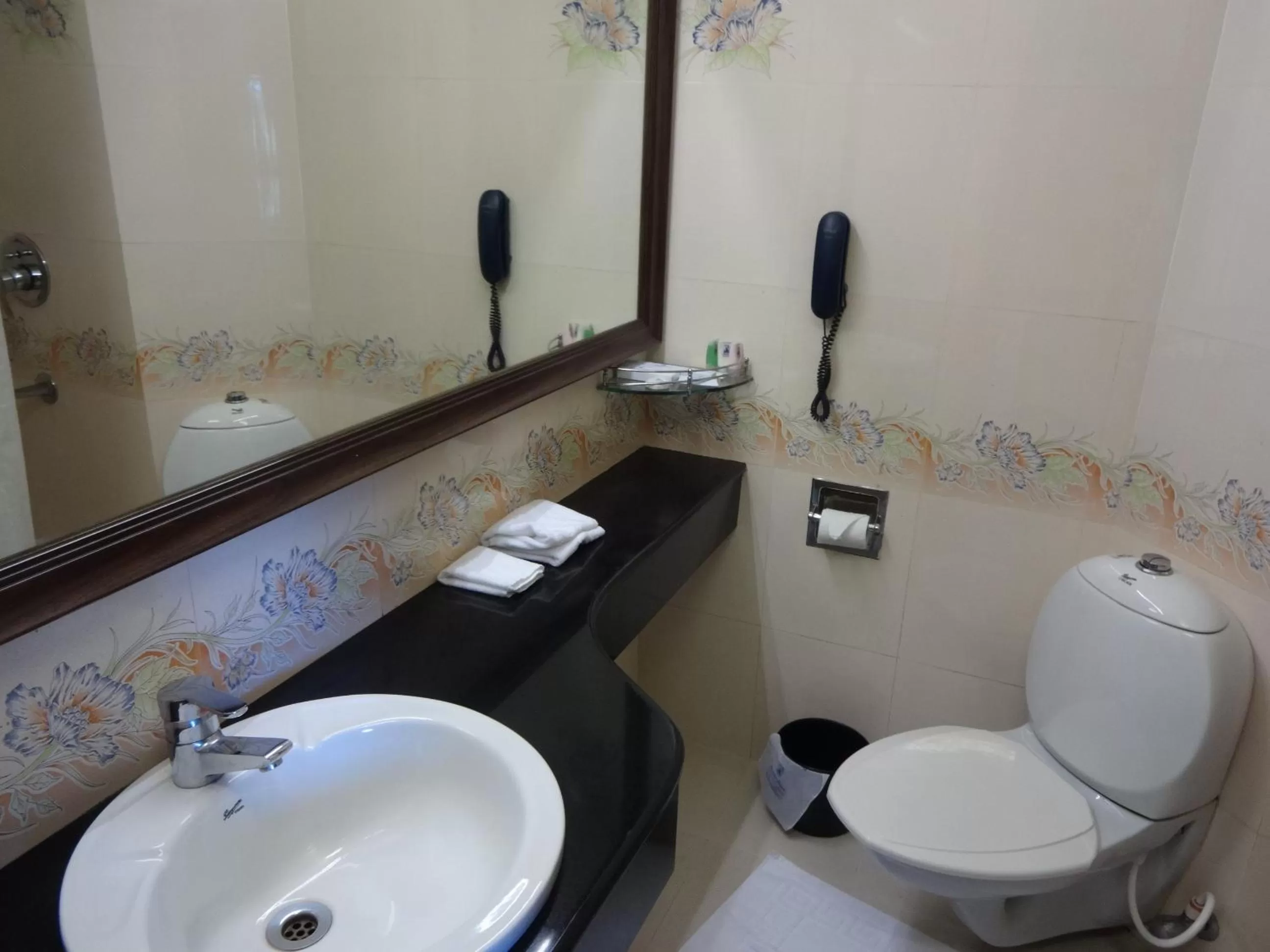 Toilet in Manuelsons Malabar Palace