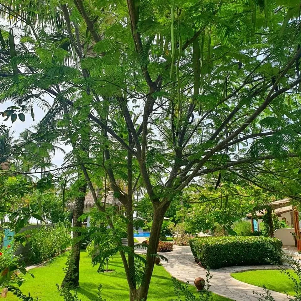 Pool view, Swimming Pool in Pousada Villages Boutique Hotel