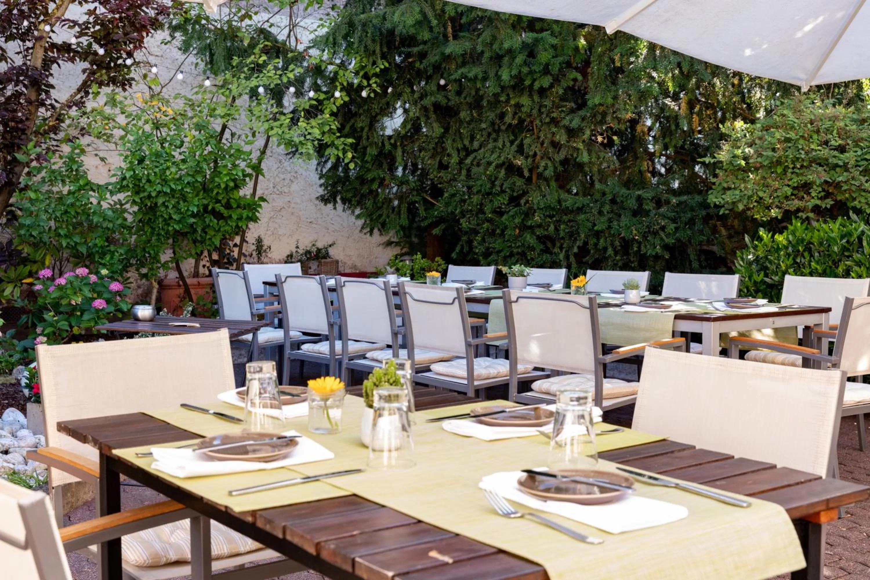 Restaurant/places to eat in Scheid´s Hotel – Restaurant