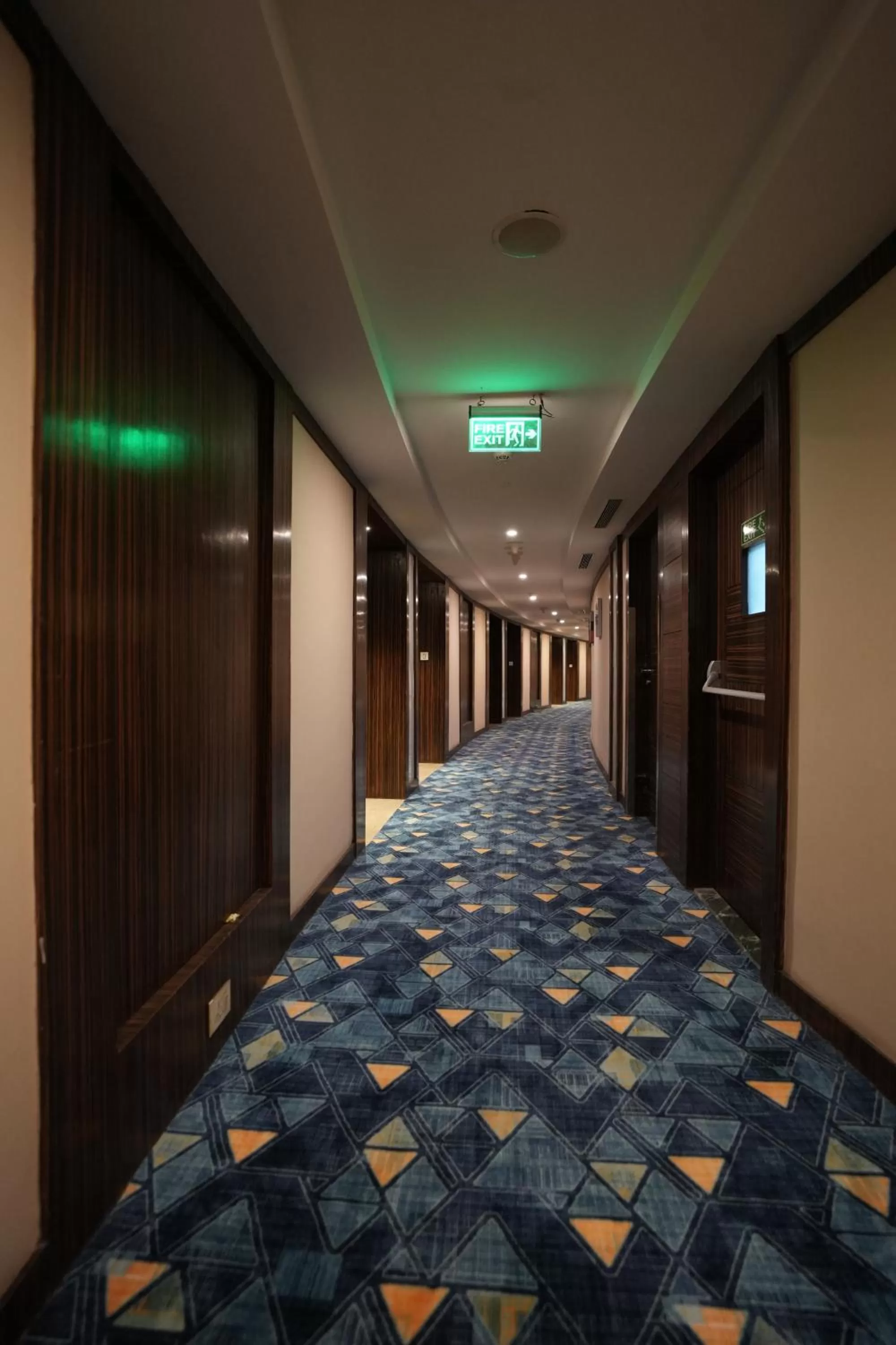 Decorative detail in Radisson Udaipur