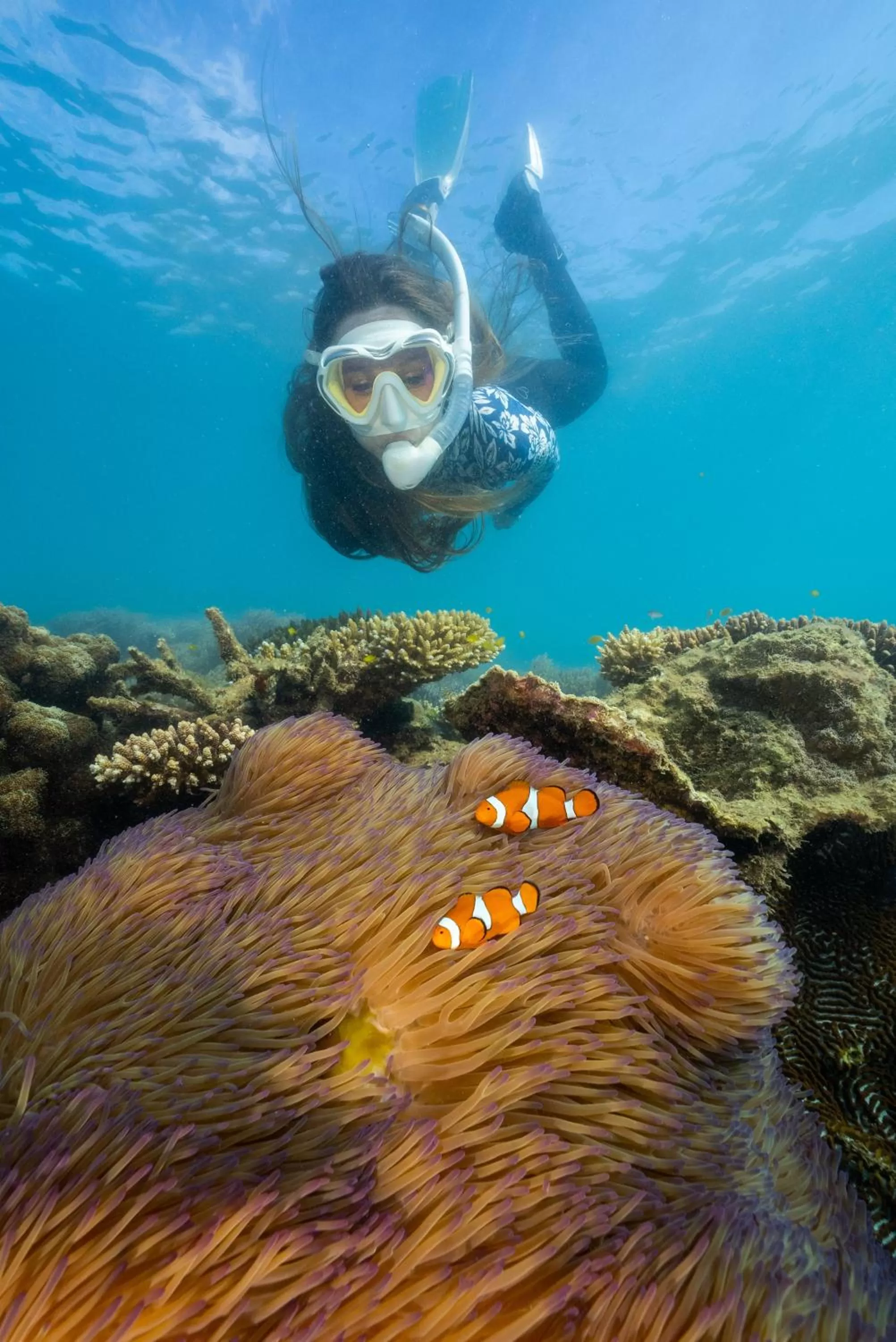 Natural landscape in Fitzroy Island Resort