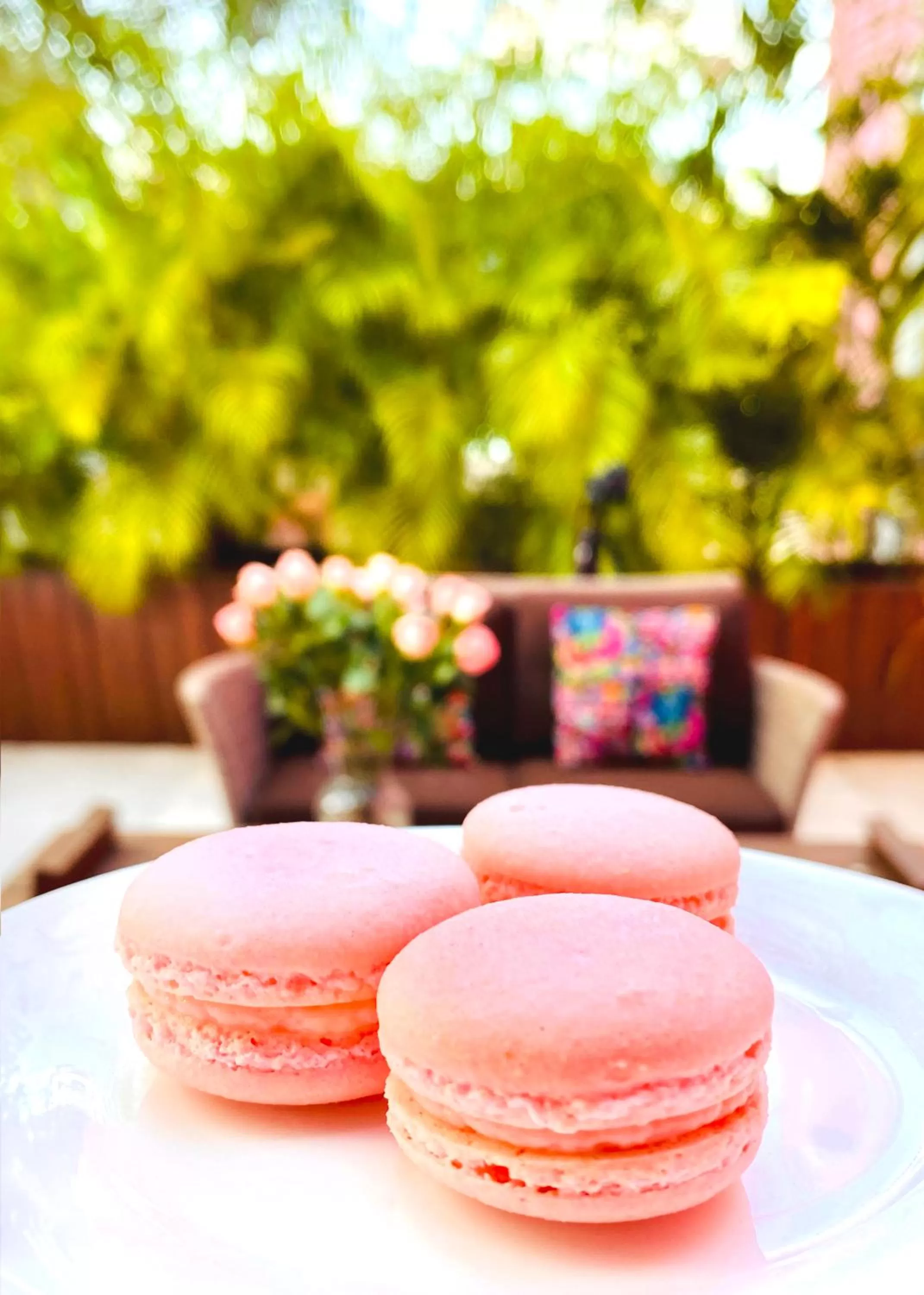 Food close-up in Rosas & Xocolate Boutique Hotel and Spa Merida, a Member of Design Hotels