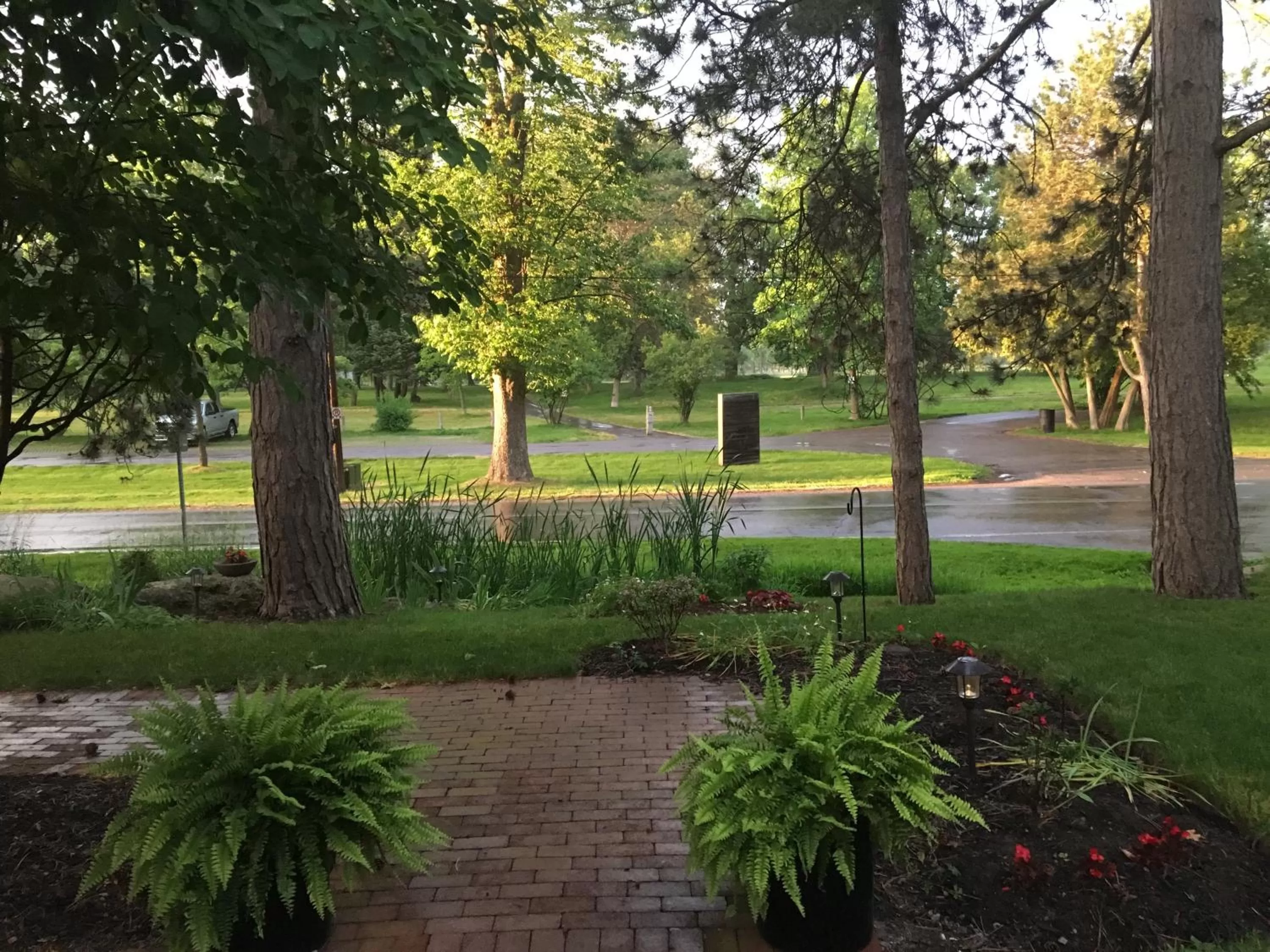 Natural landscape, Garden in Darlington House Bed and Breakfast