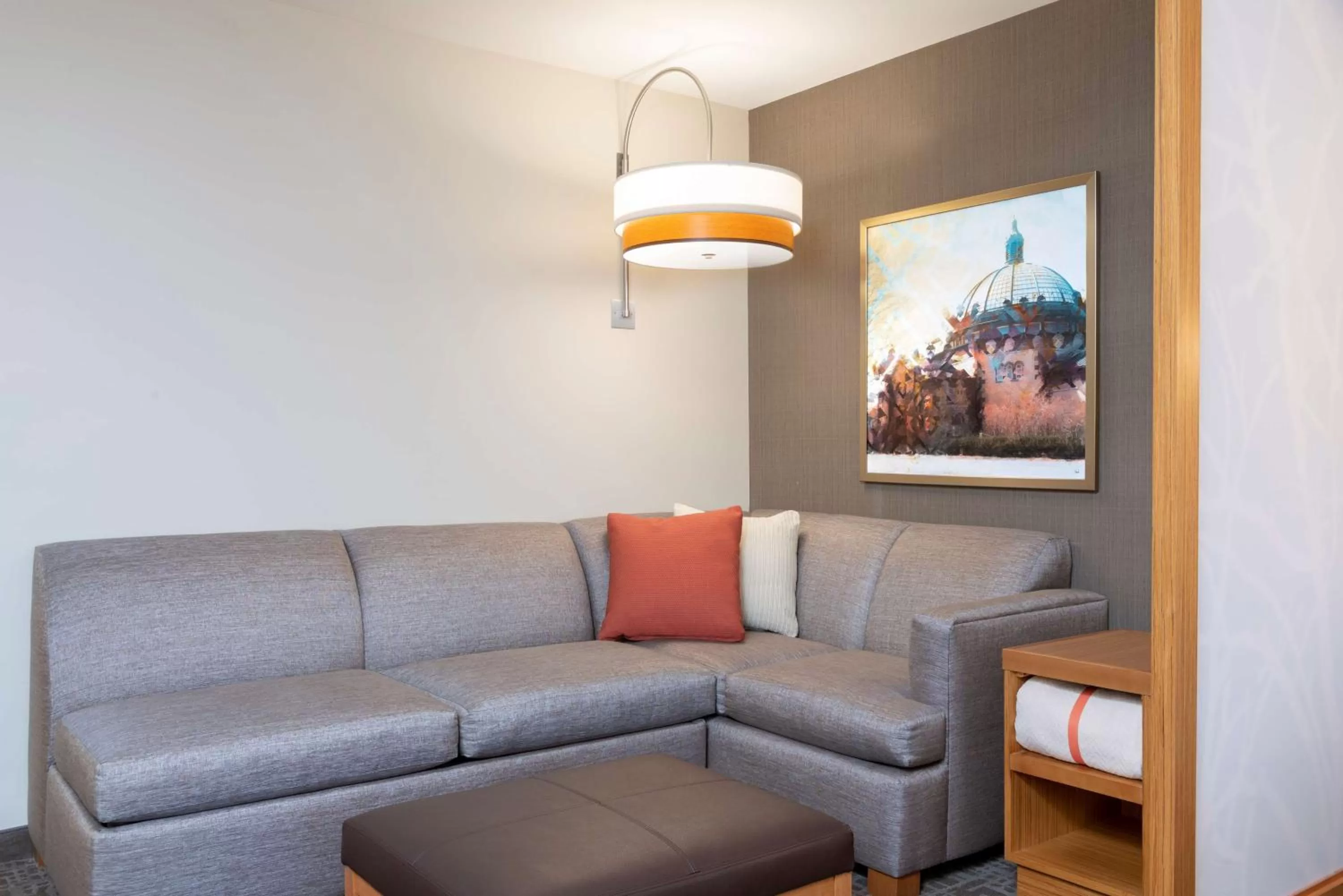 Photo of the whole room in Hyatt Place Detroit/Royal Oak