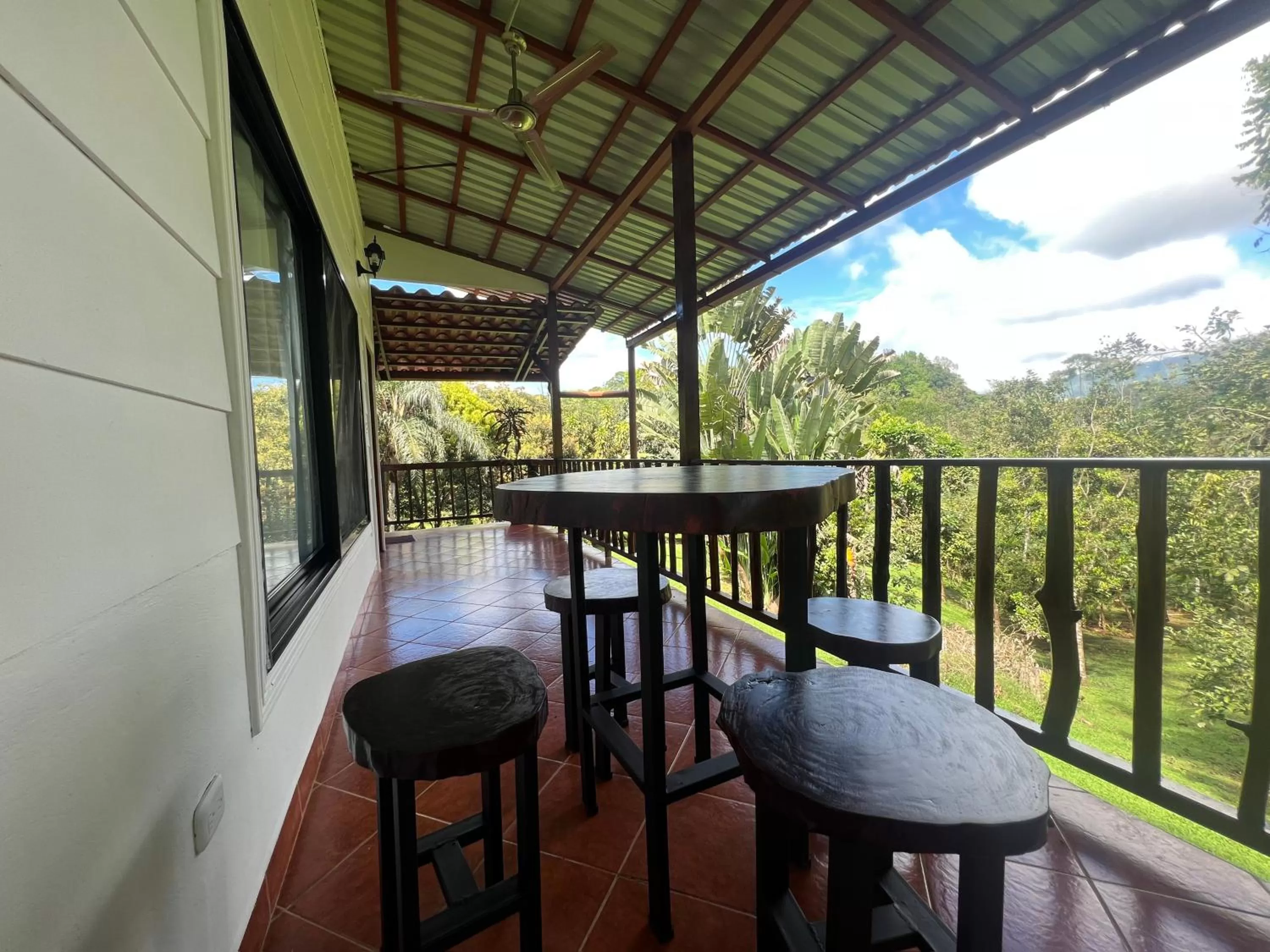 Balcony/Terrace in Blue Banyan Inn