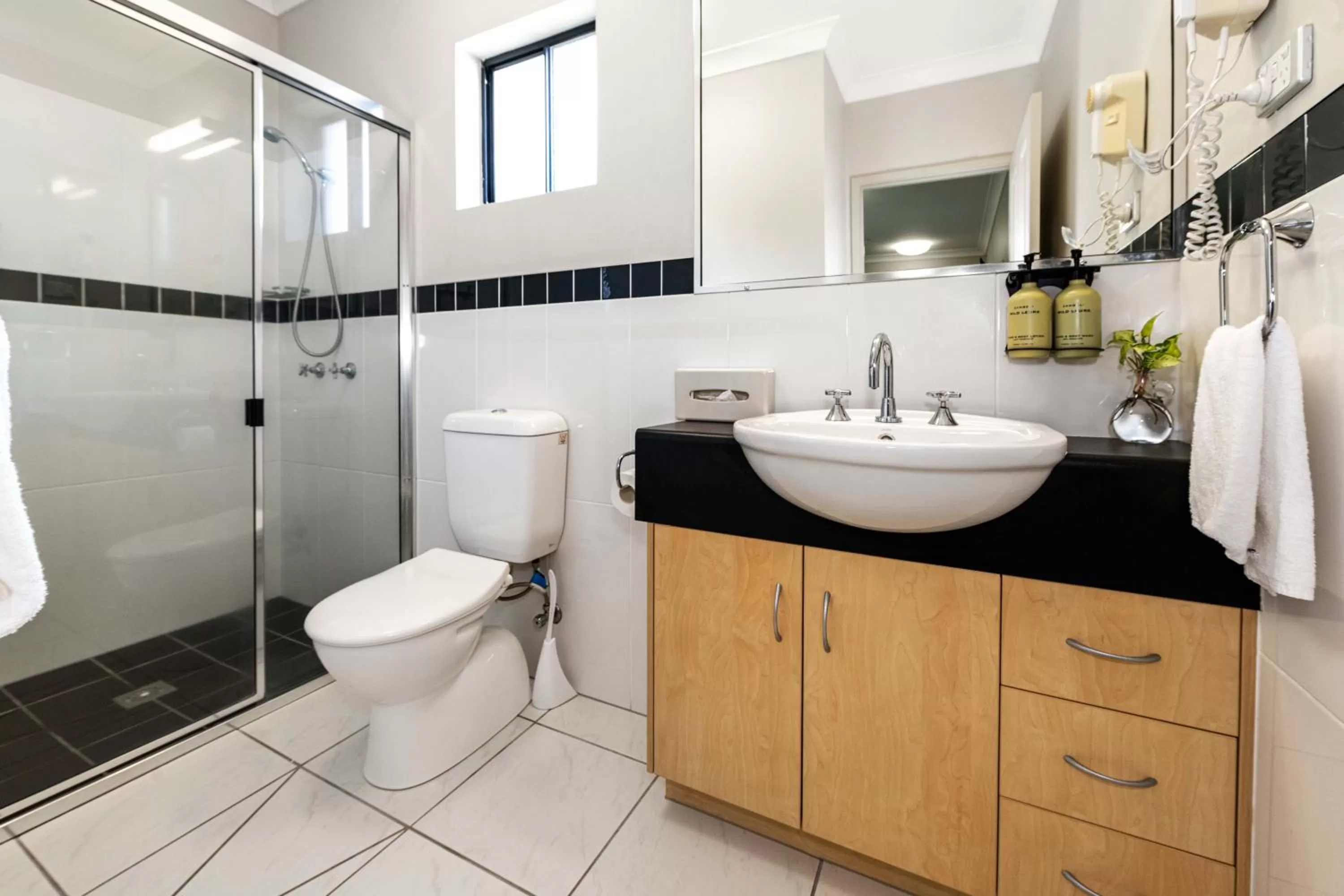 Shower in Alara Motor Inn