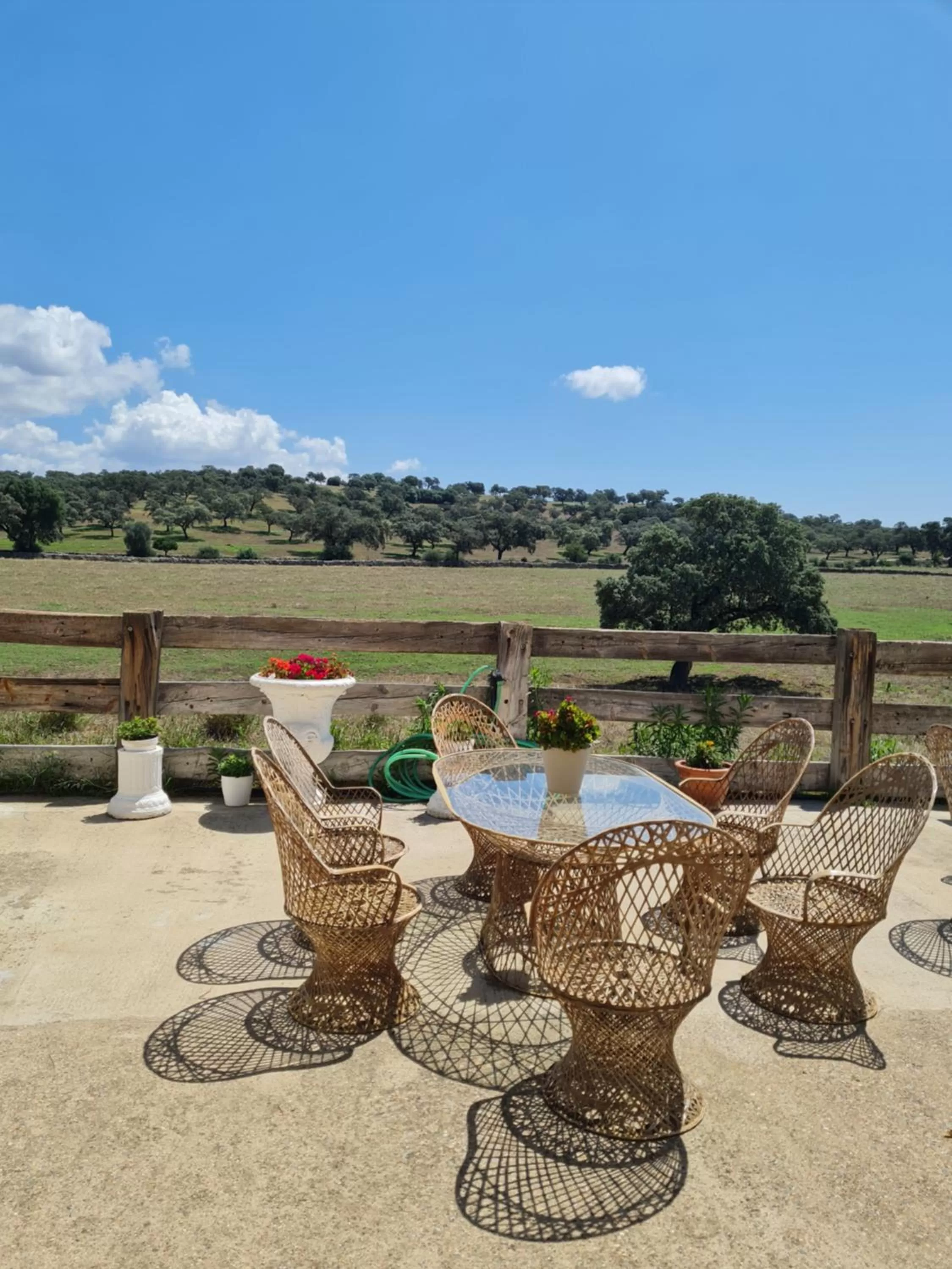 Patio, Swimming Pool in Alojamiento Rural Finca Barral