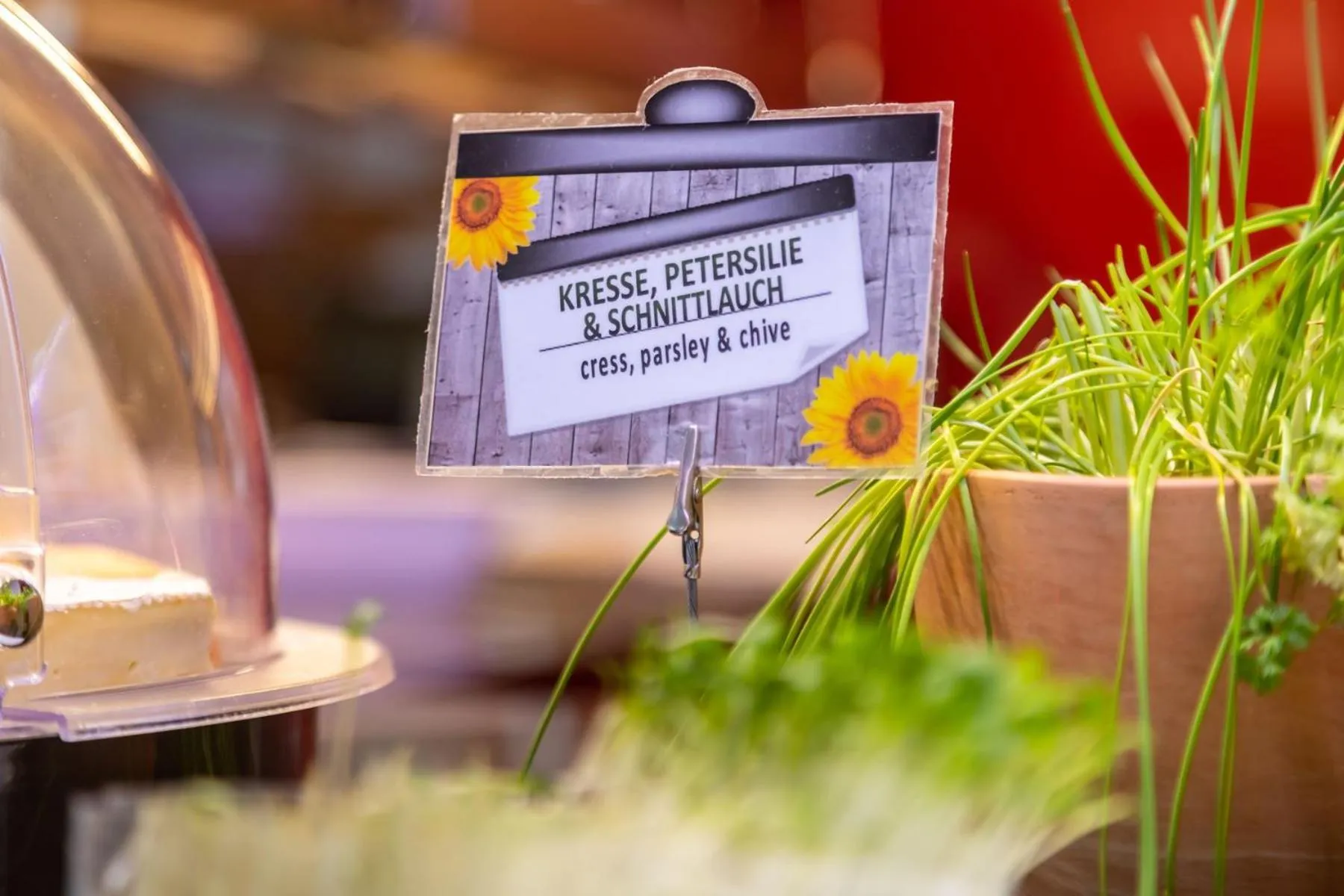 On site in Novotel Mainz