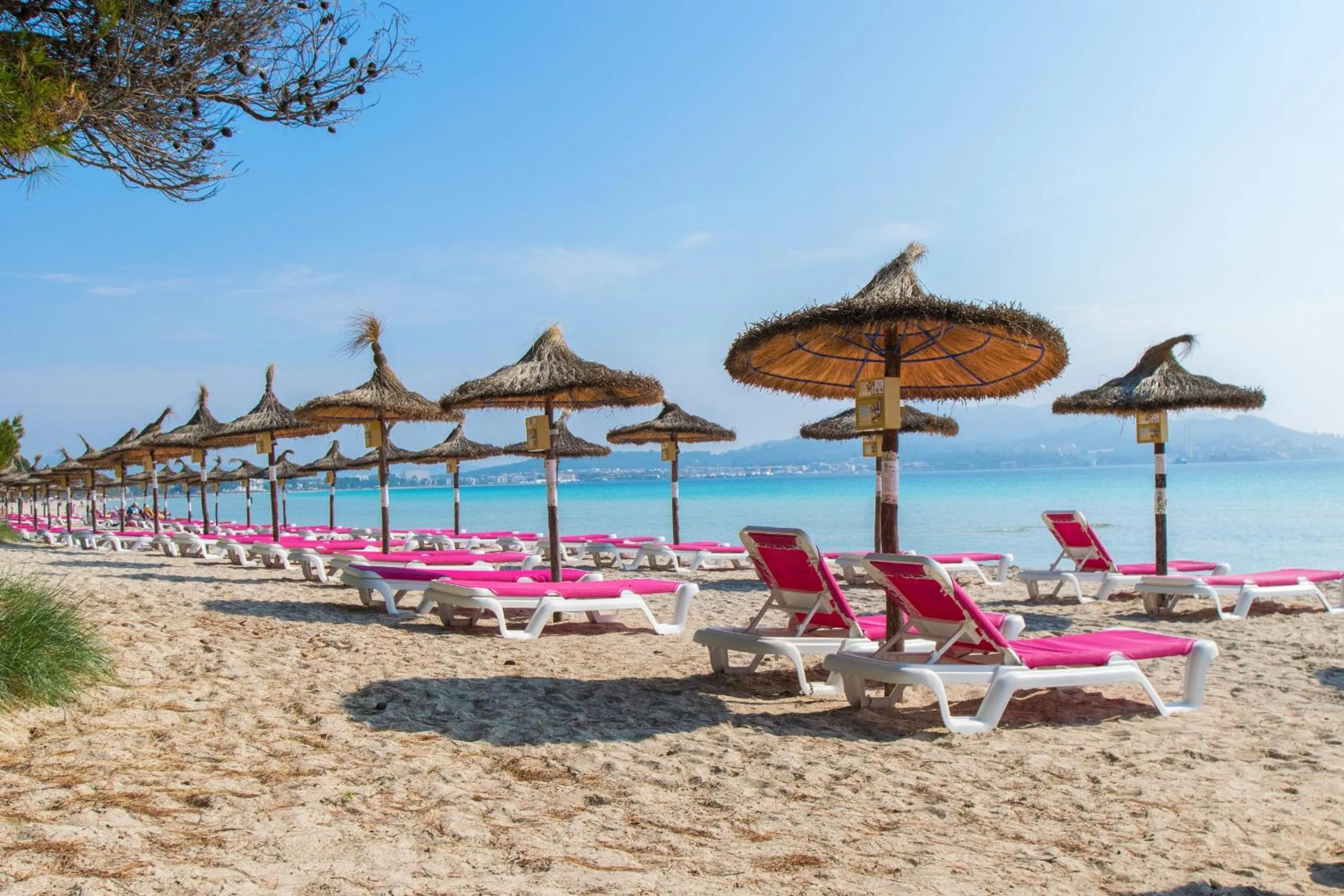 Activities in Blu Hostal Diana