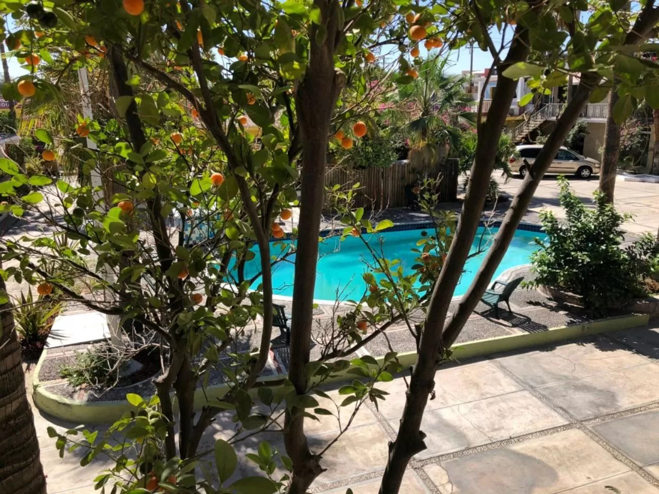 Photo of the whole room in Hotel Calafia