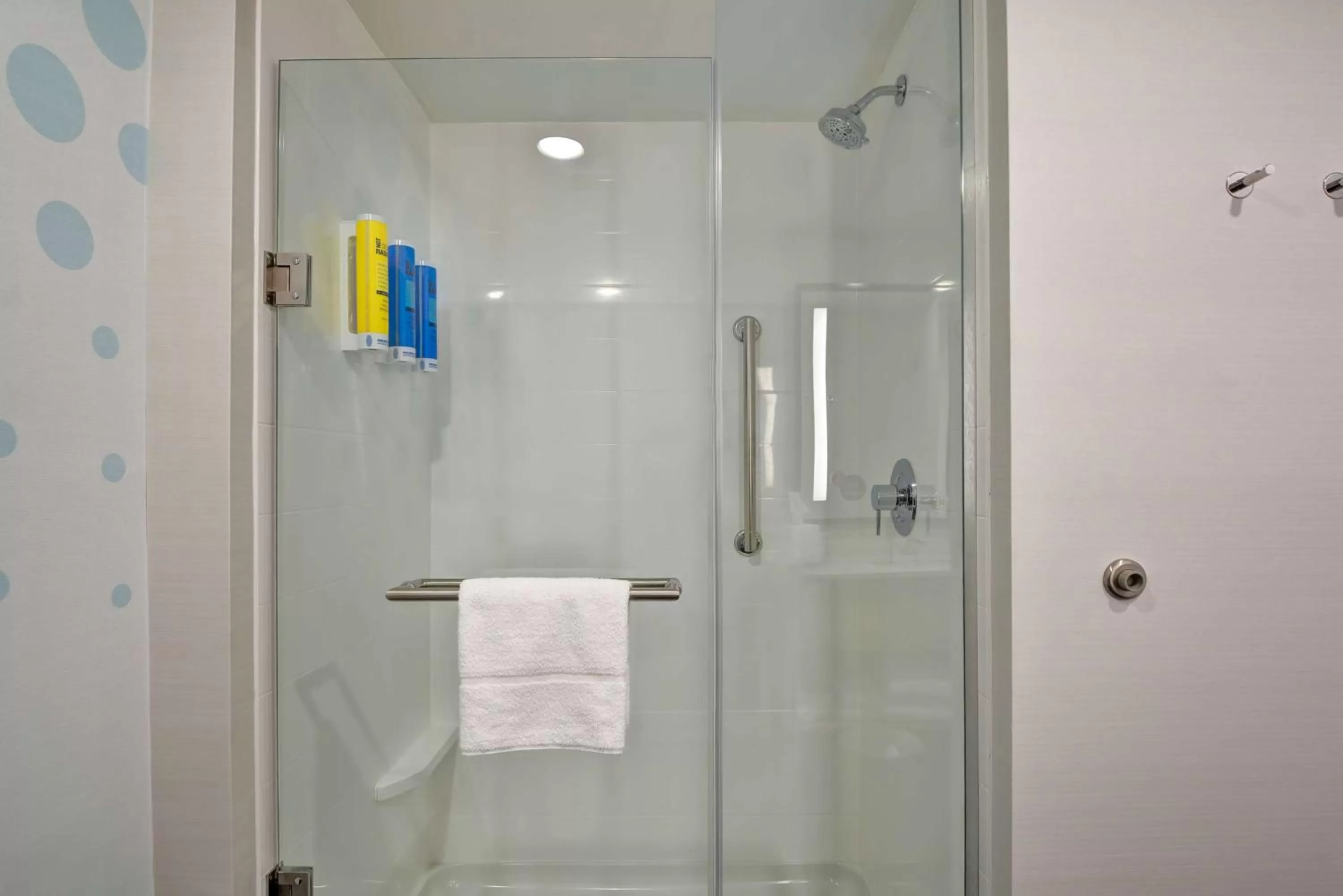 Bathroom in Tru by Hilton Syracuse North Airport Area