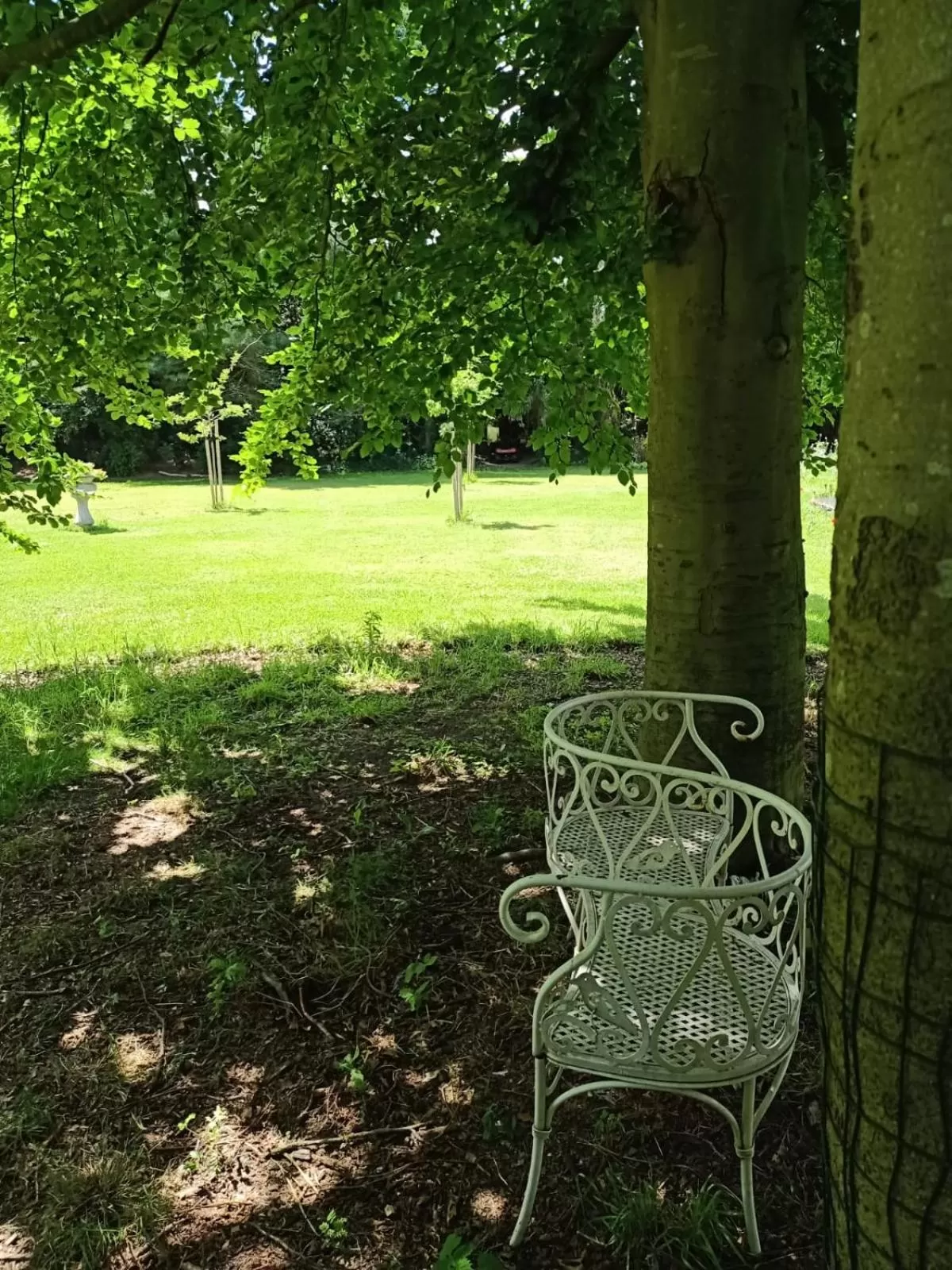 Garden in Bij de Vlaamse Schuur