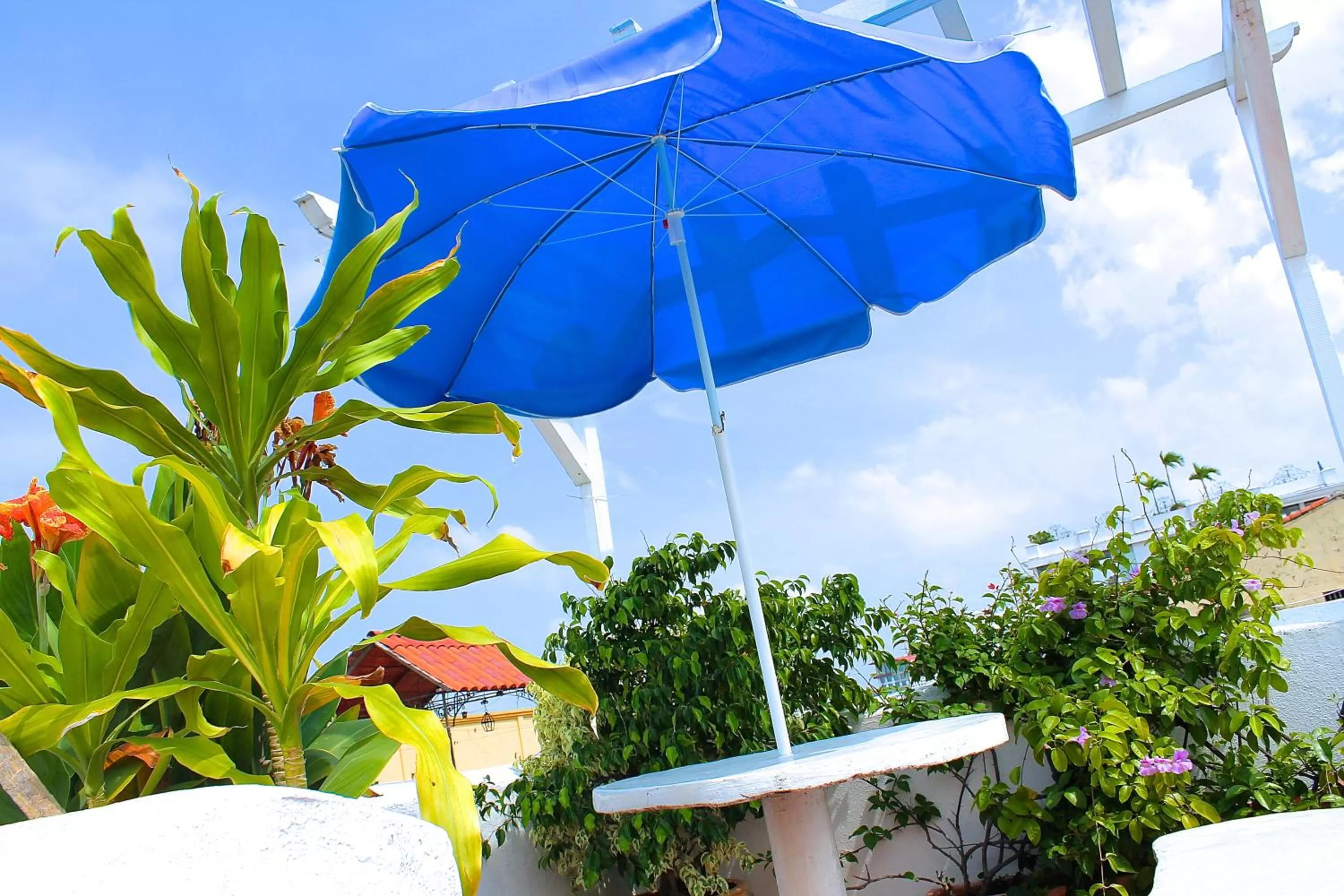 Day in Hotel Casa Gloria Boutique