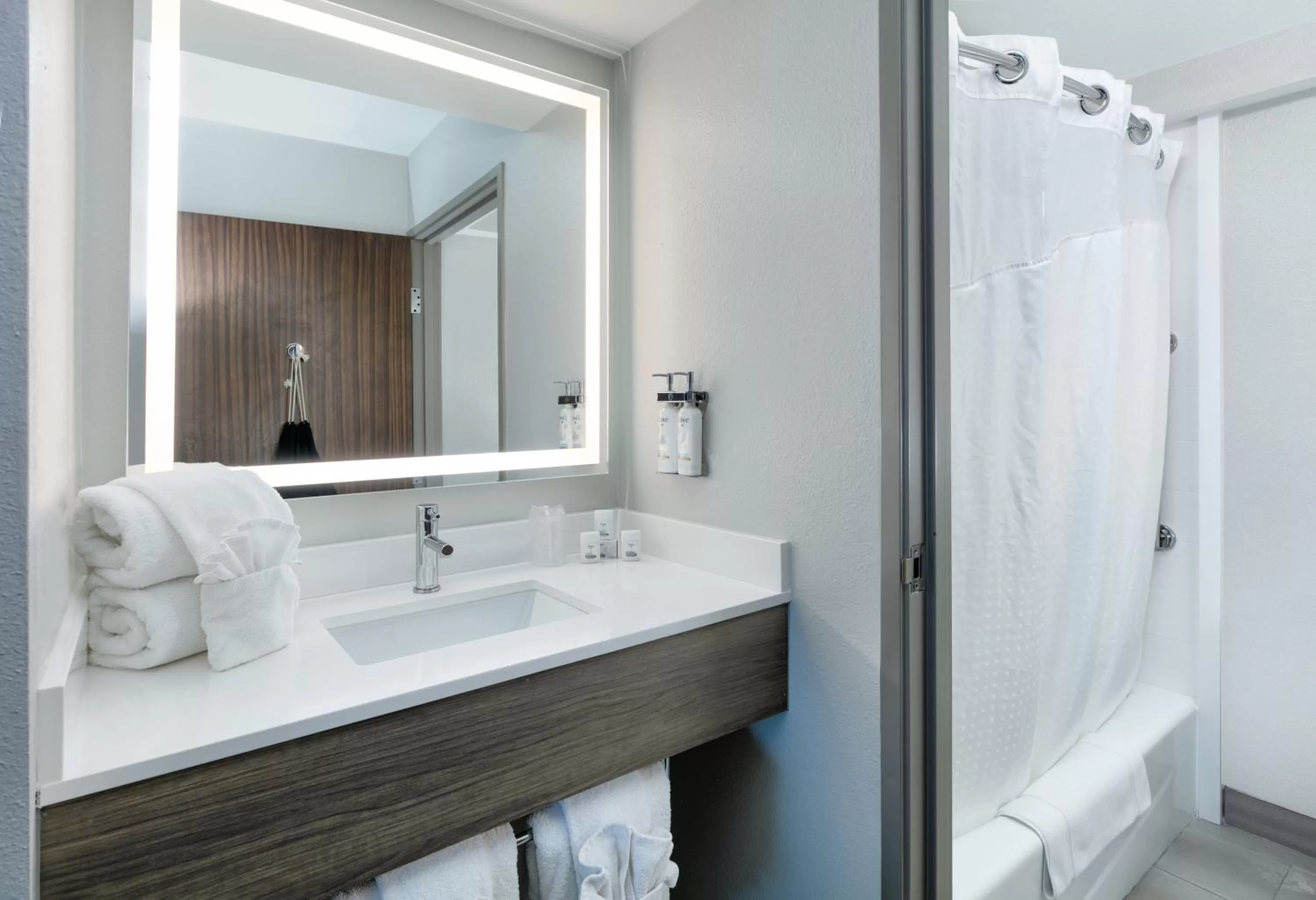 Bathroom in Holiday Inn Express & Suites DALLAS PARK CENTRAL NORTHEAST by IHG