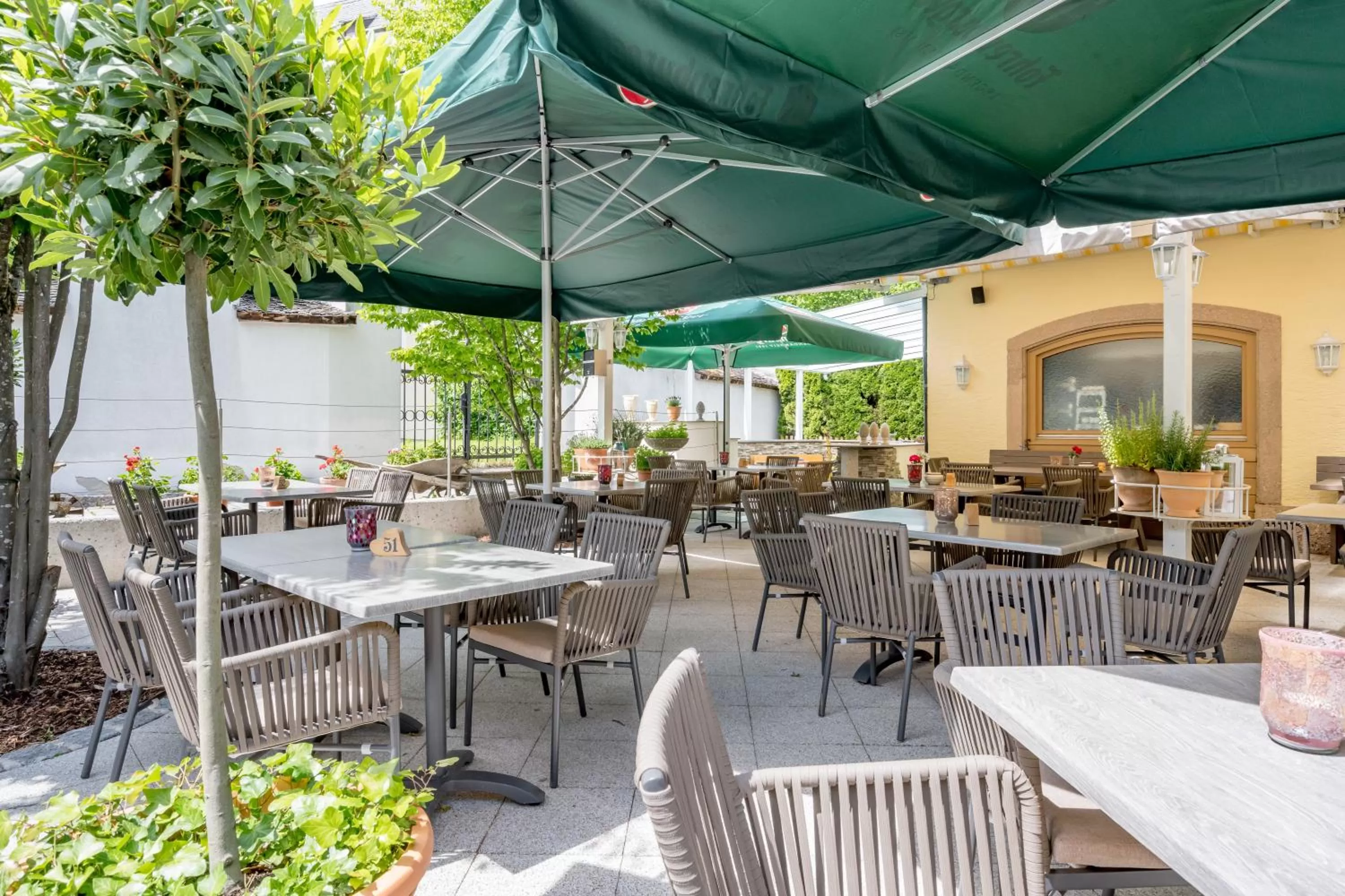 Restaurant/places to eat in Gasthof Schroll