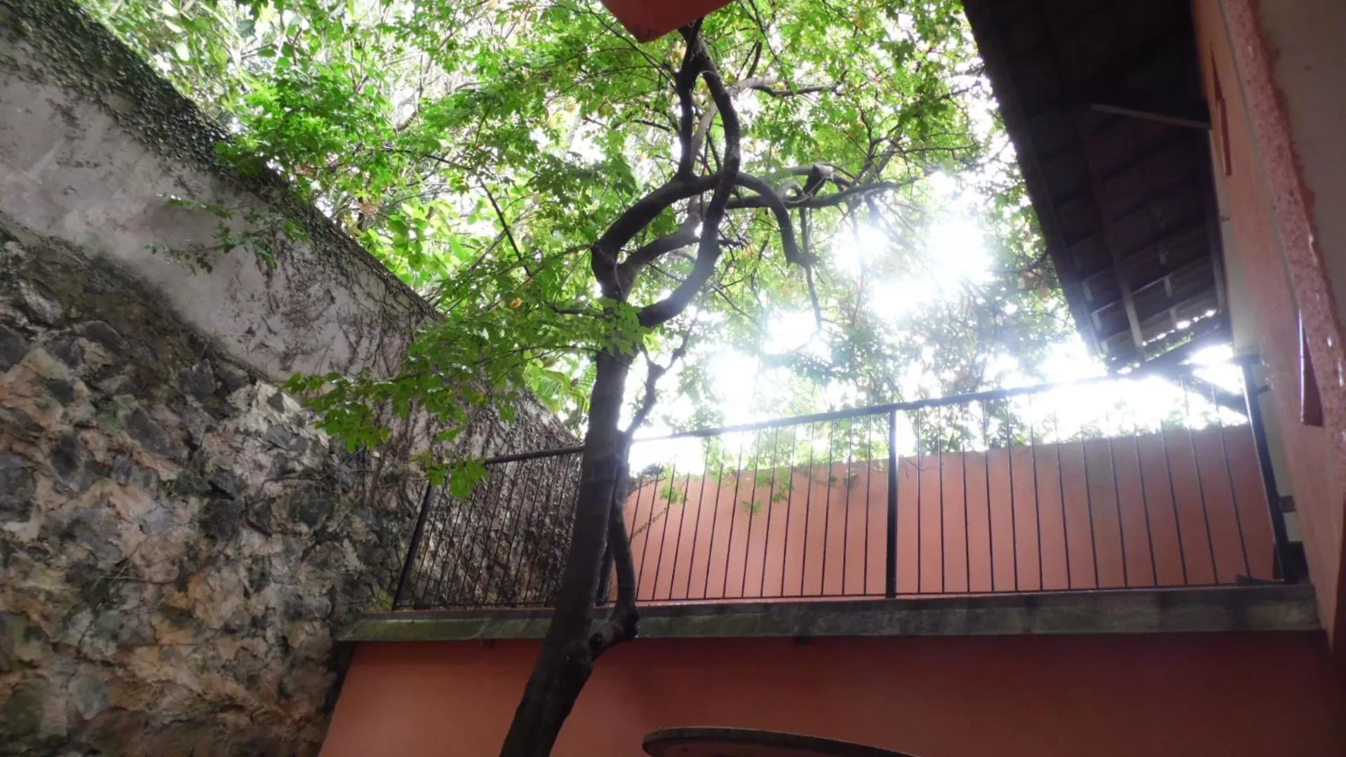 Balcony/Terrace in Hotel Charme Fonte do Boi