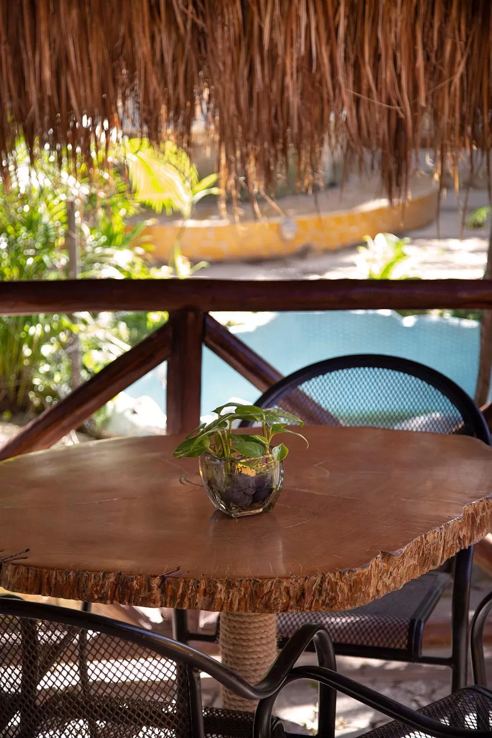 Balcony/Terrace in Hotel Amar Inn