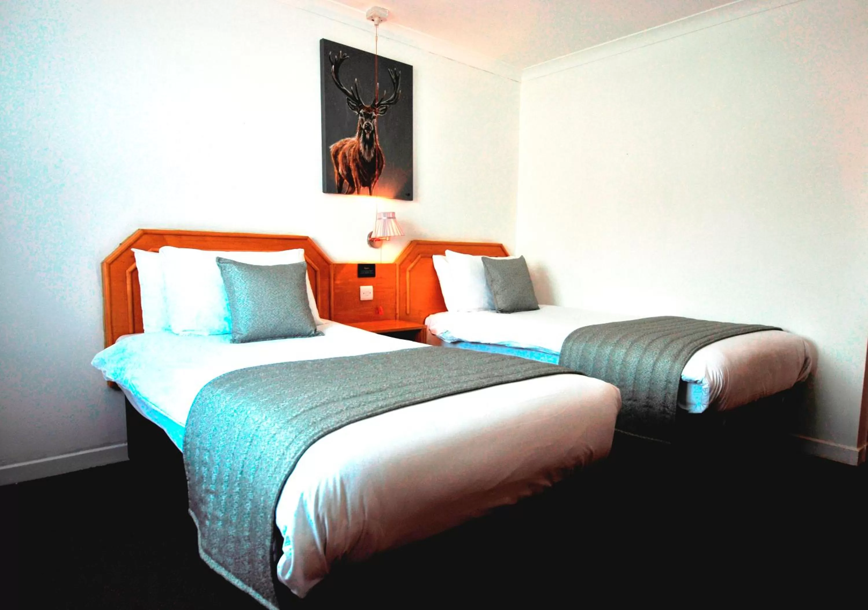 Bed in Days Inn Hamilton