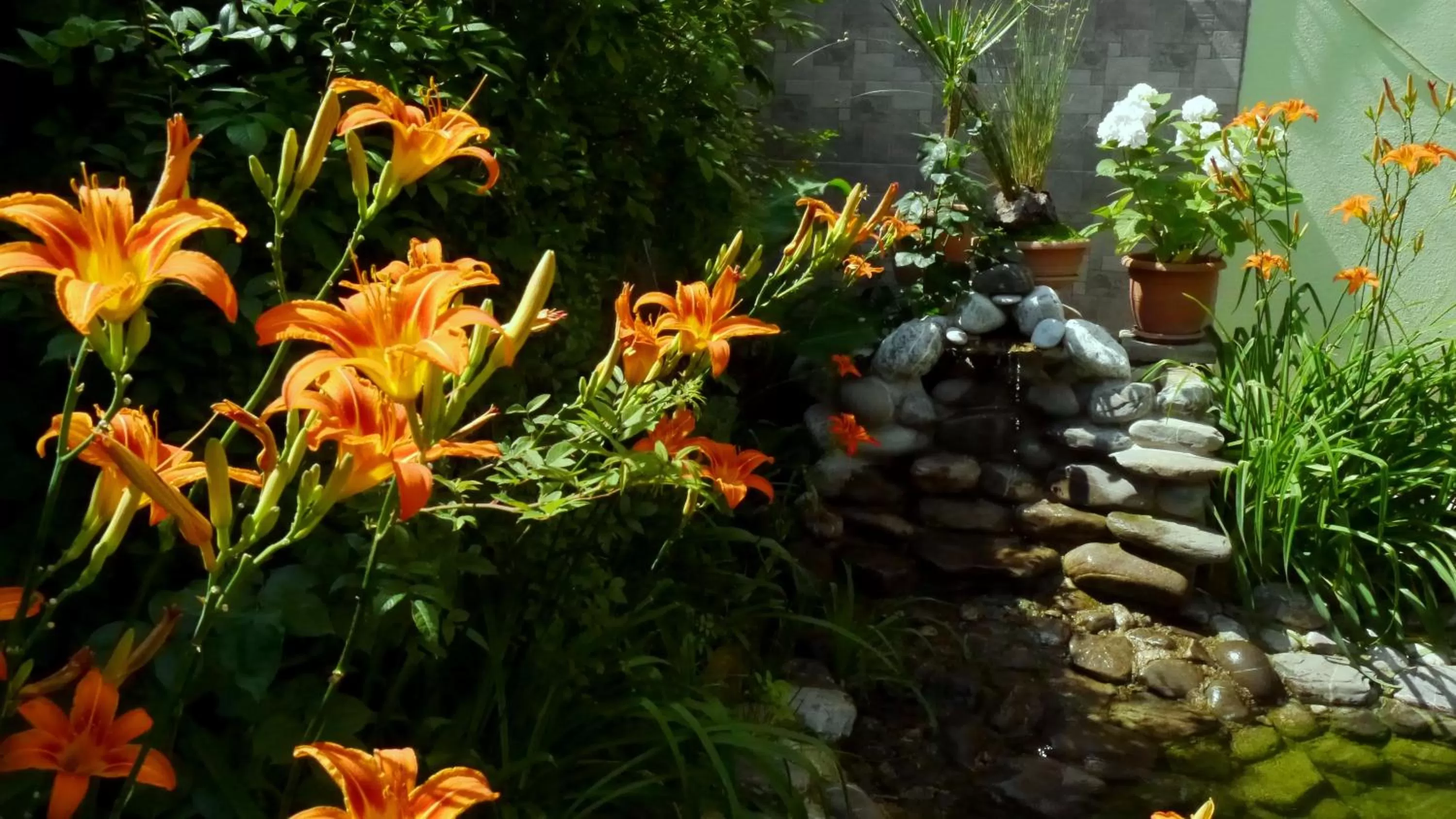 Garden in Kruja Hotel