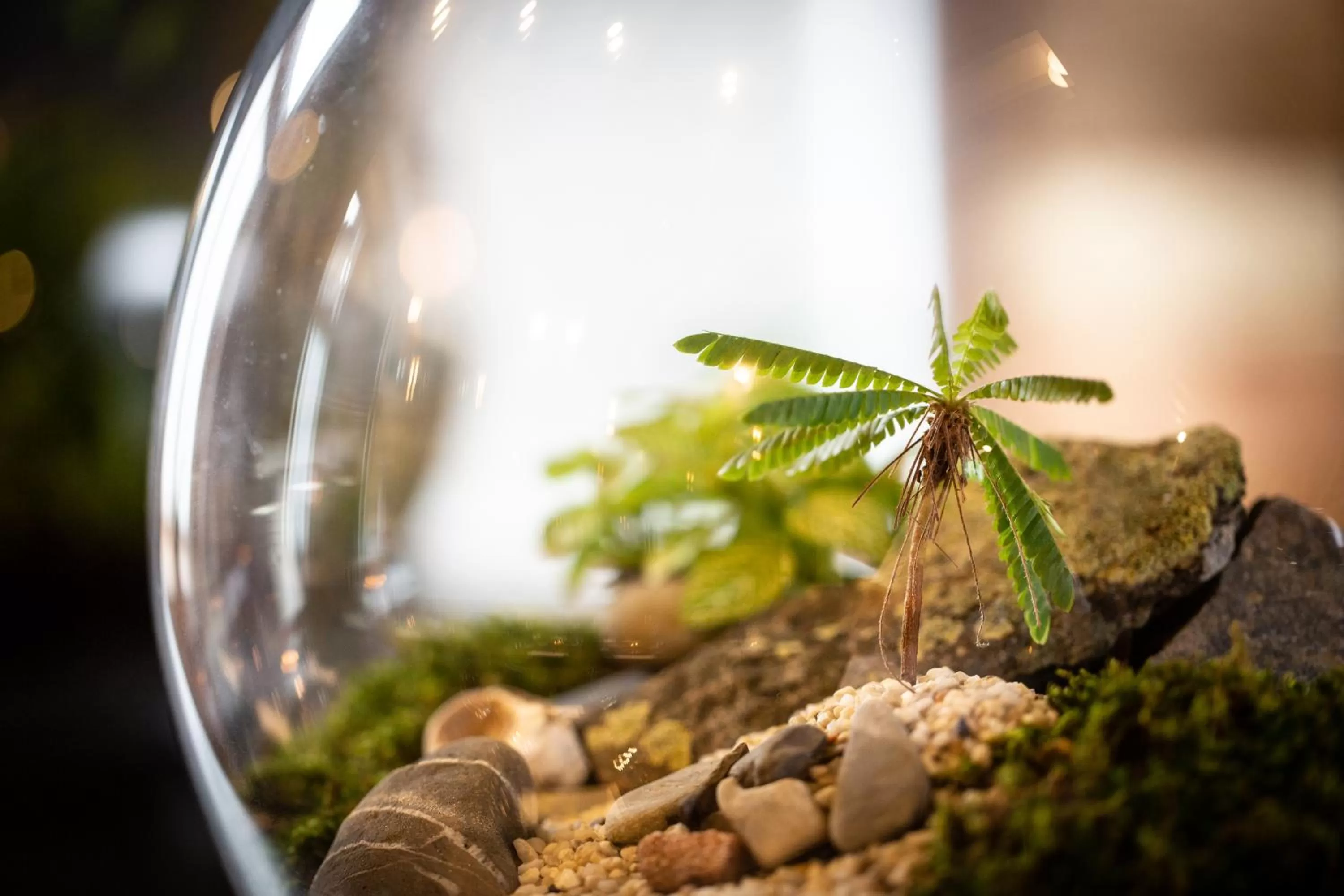 Restaurant/places to eat in The Black Bull Inn