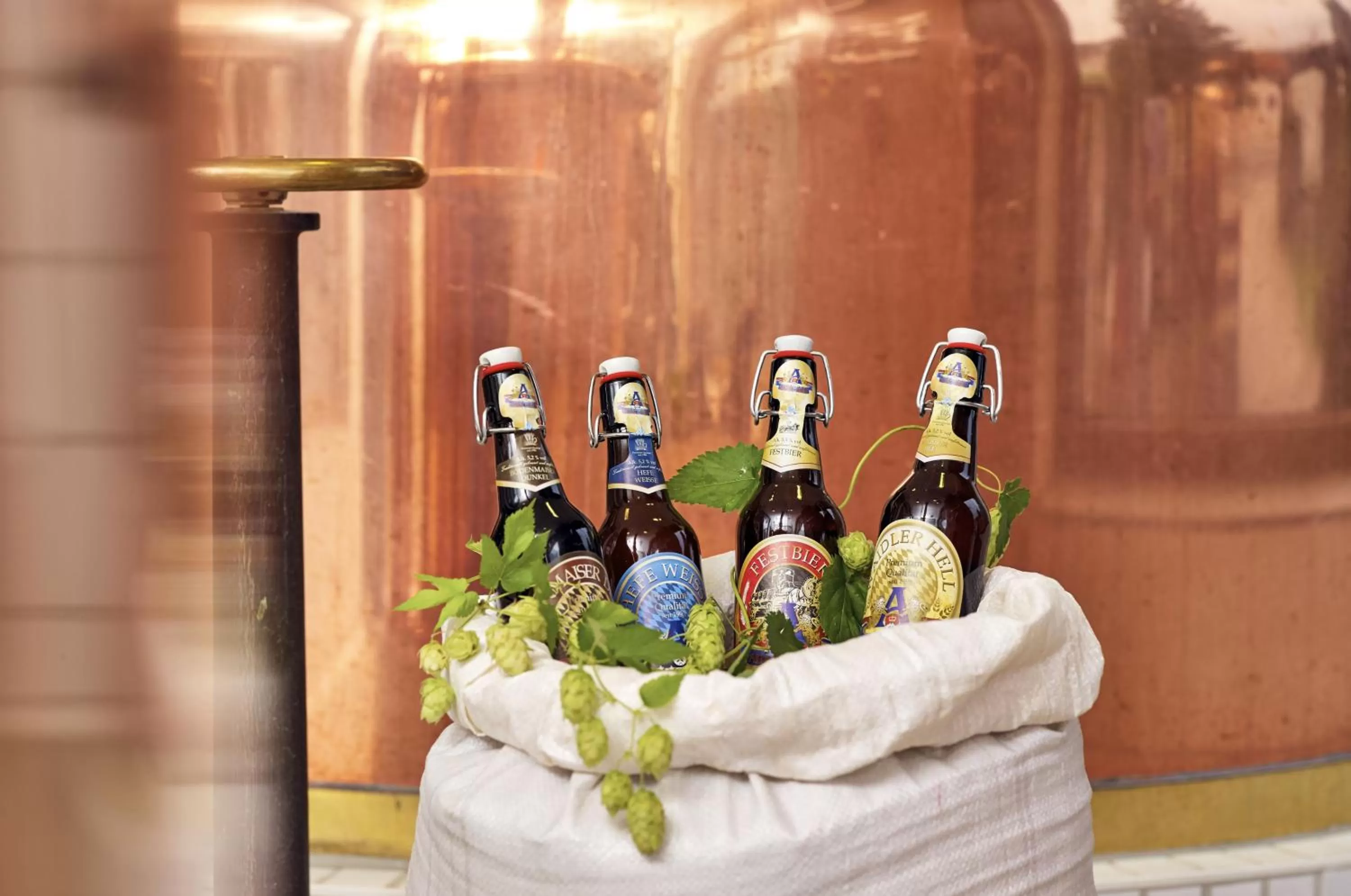 Other in Wander- und Aktivhotel Adam Bräu