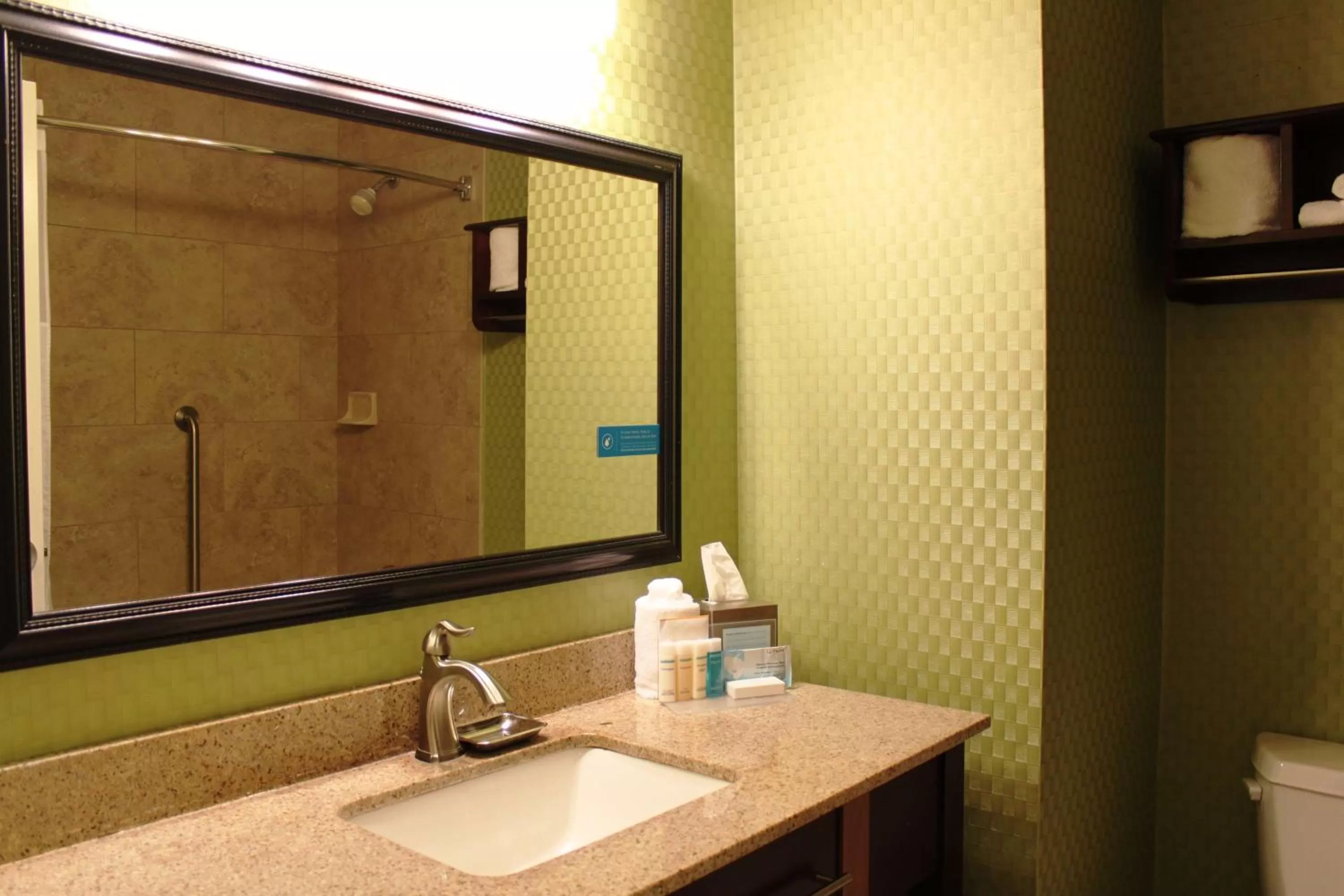 Bathroom in Hampton Inn Perry