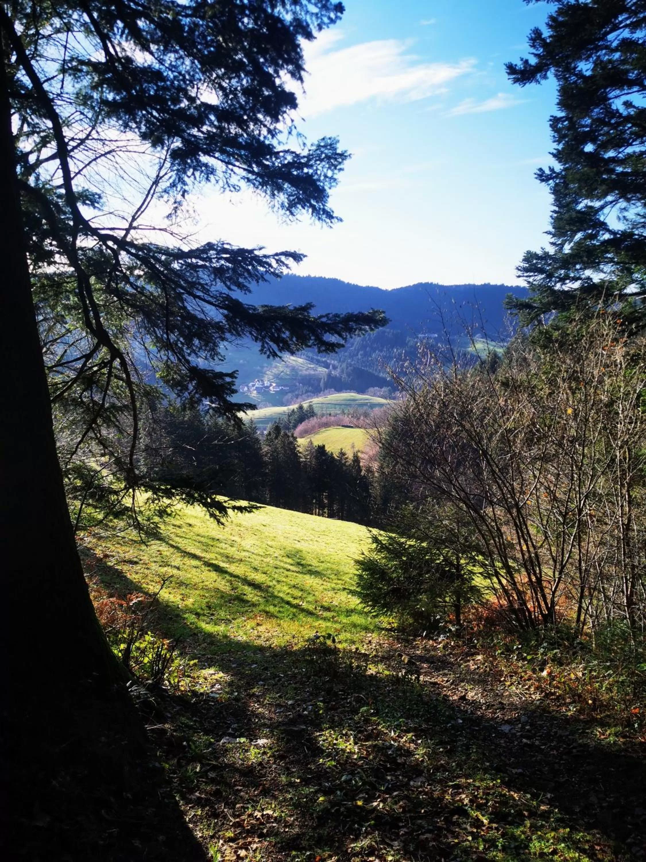Nearby landmark in Haus Hubertus