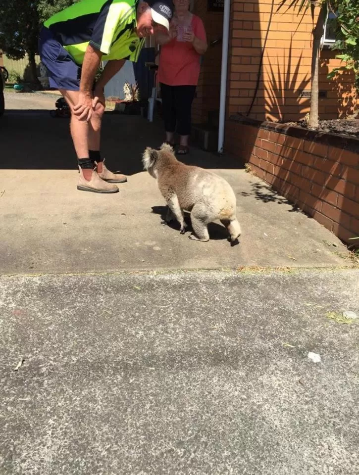 Day in Portland Retro Motel