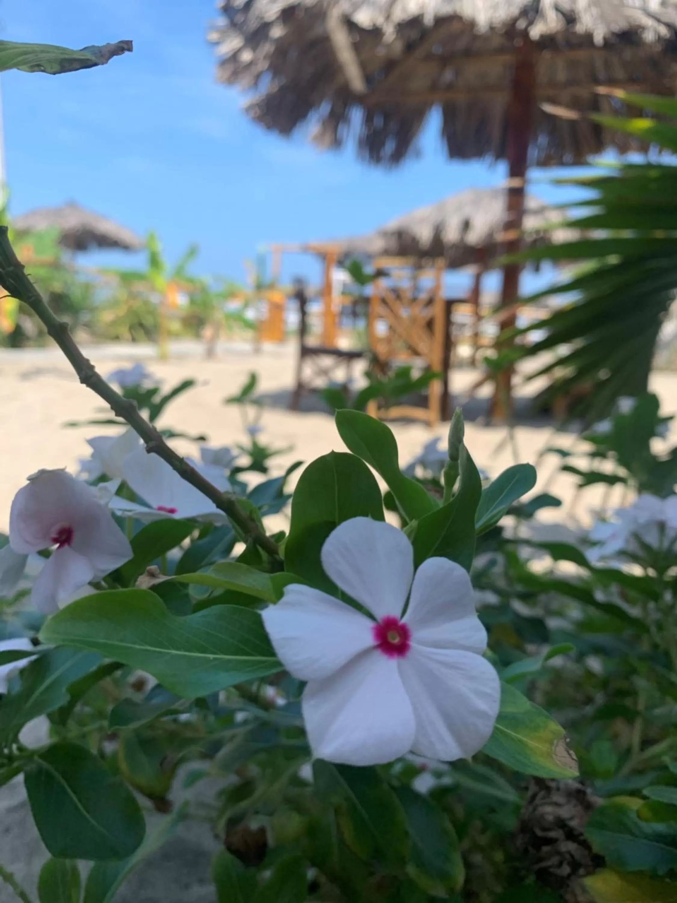 Un Dia Boutique Resort