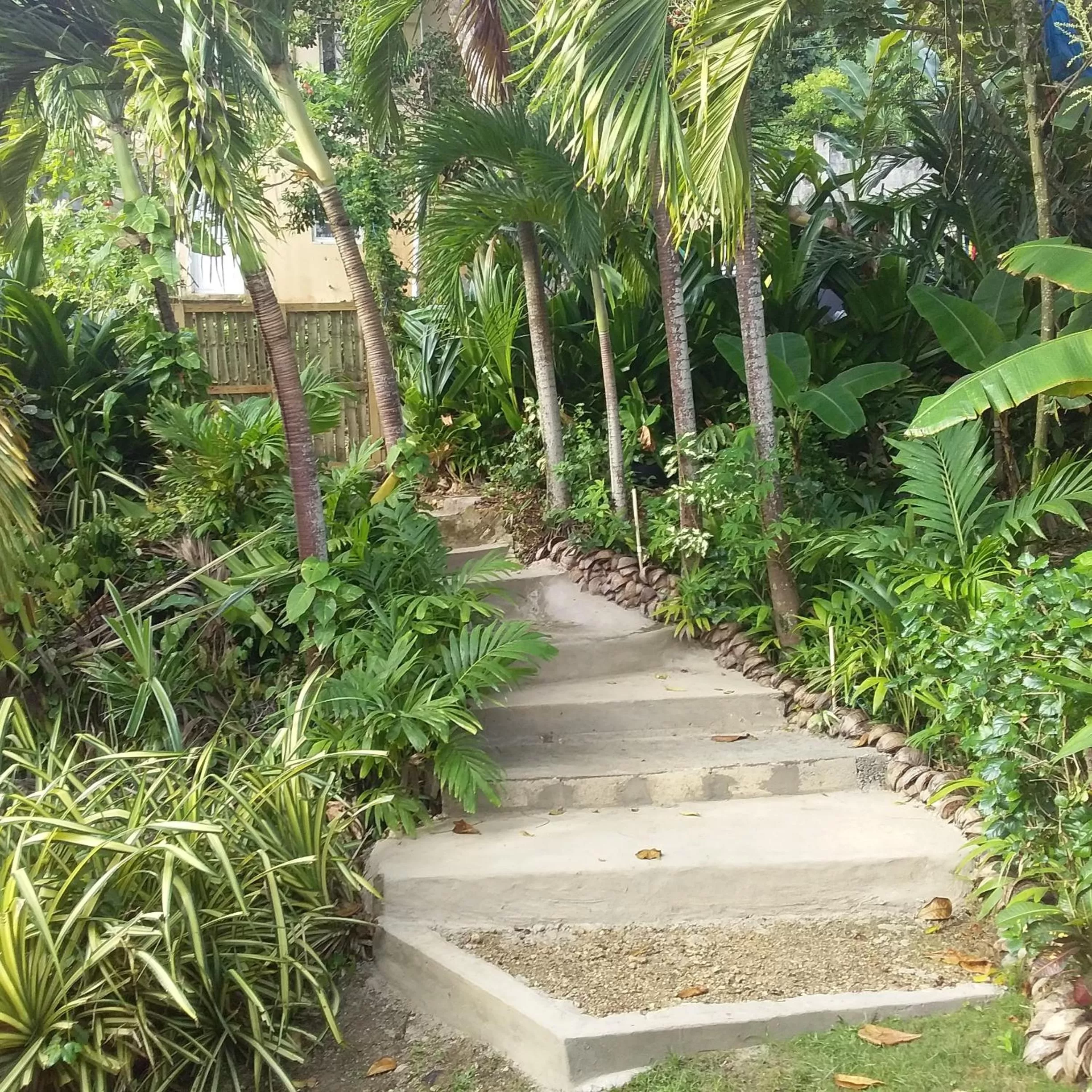 Port Antonio Brian's Beach House